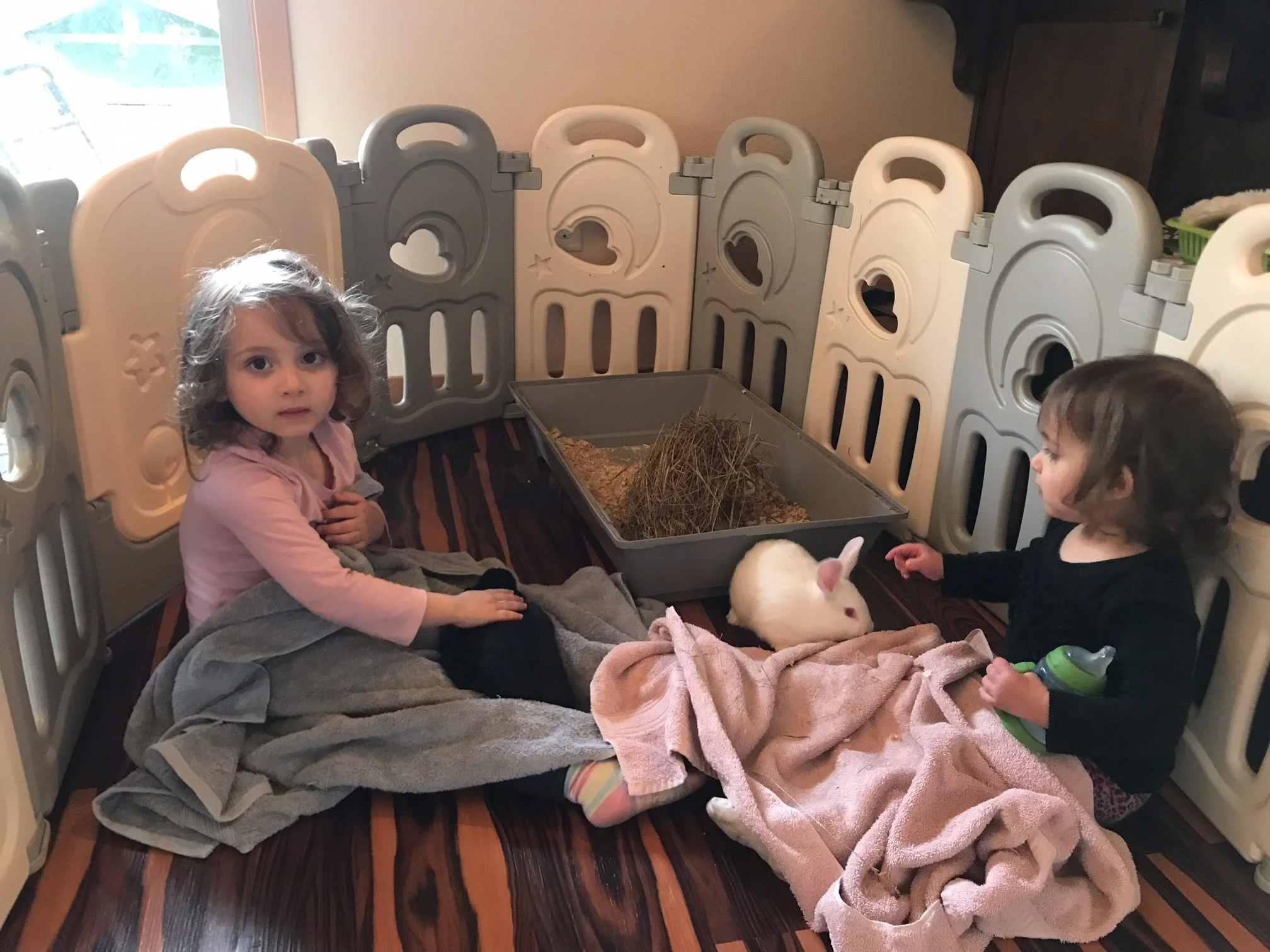 Girls socializing our rabbits