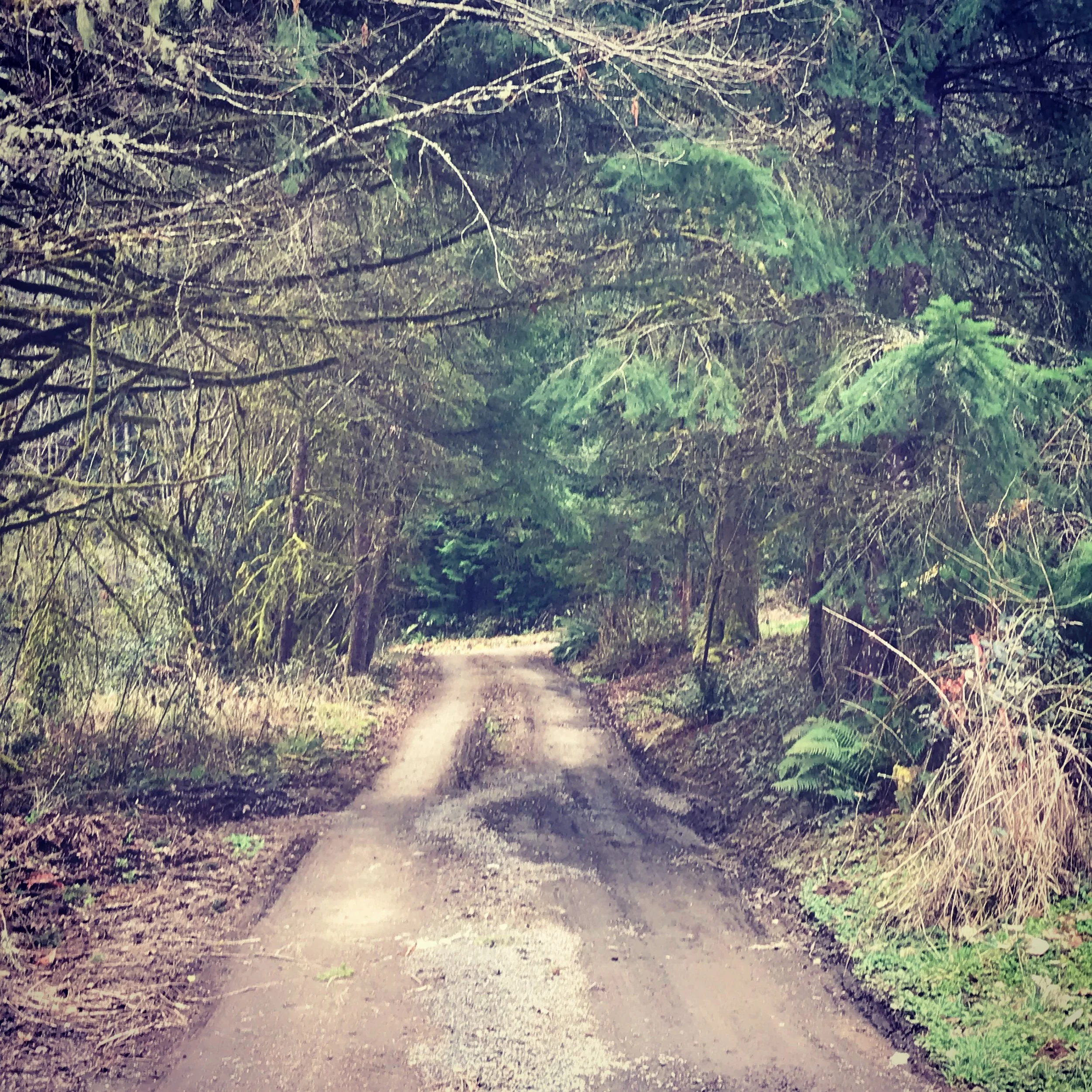 Property Road.JPG