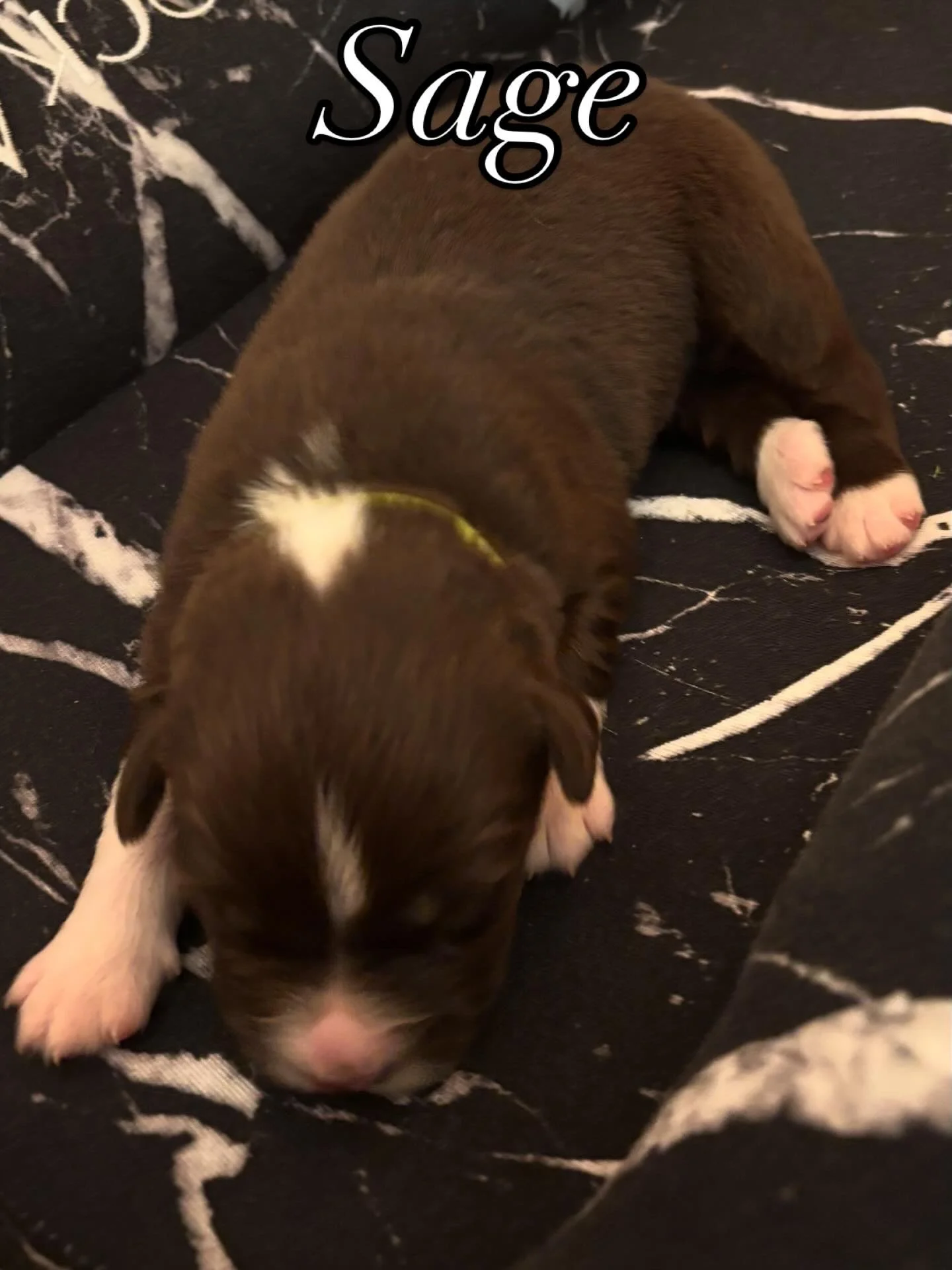 image11.jpeg