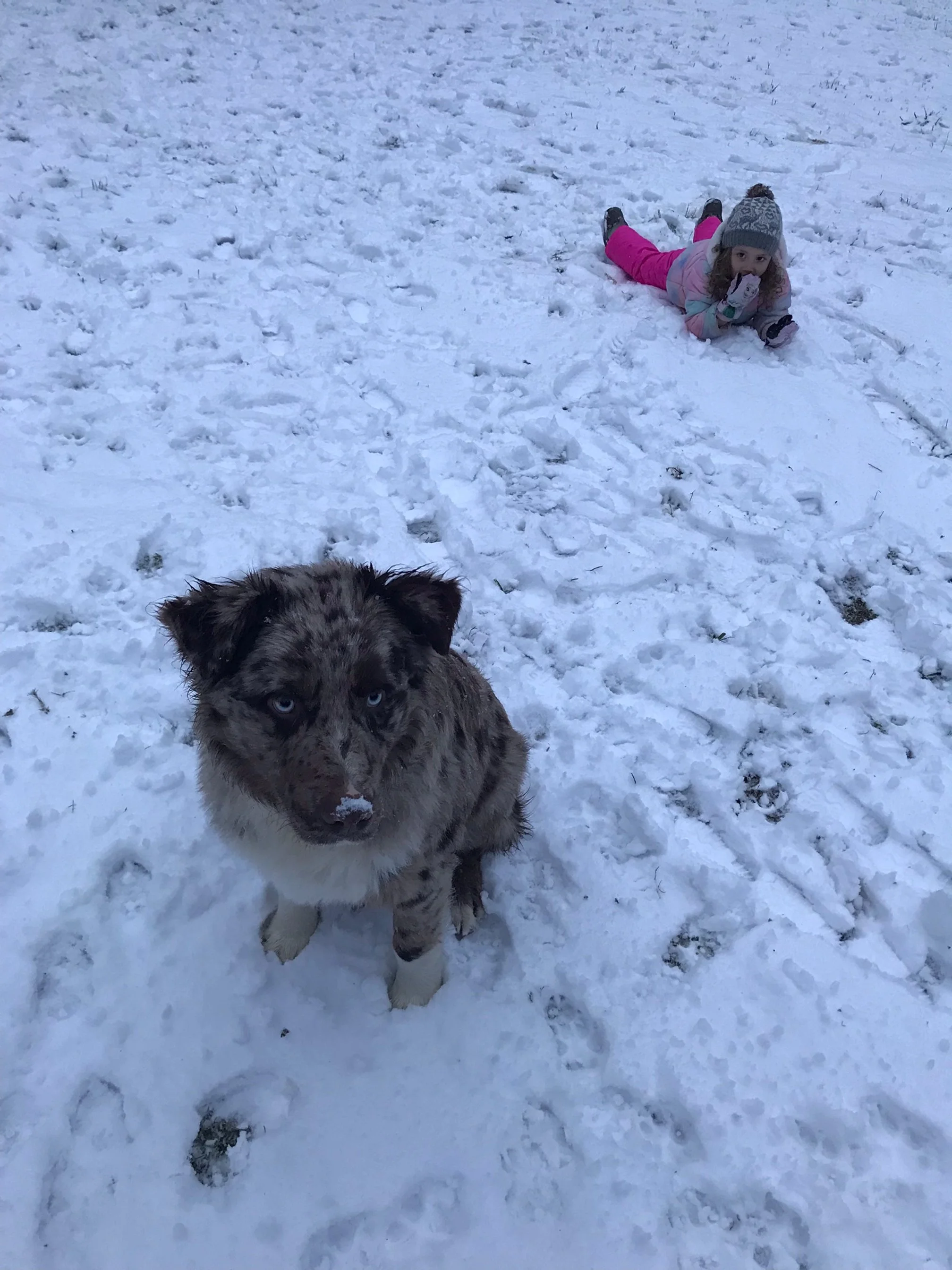 Ruger and Ava in Snow.jpeg