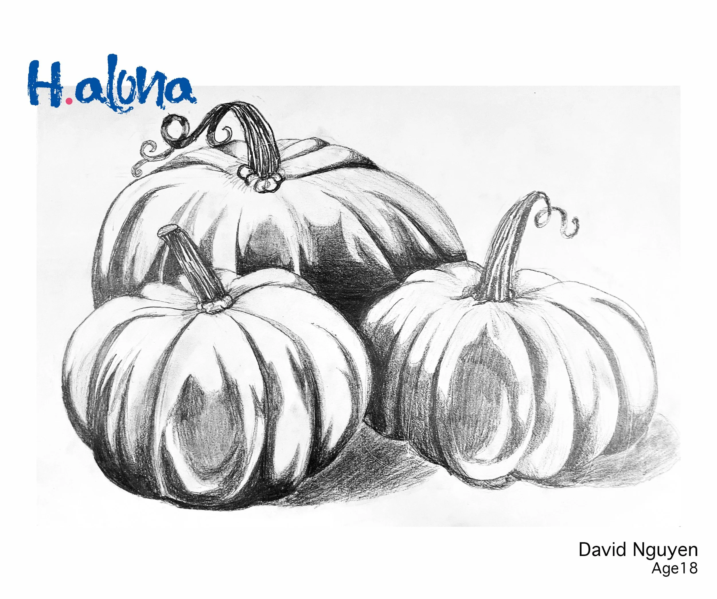 David Nguyen 2_10_2026.jpg