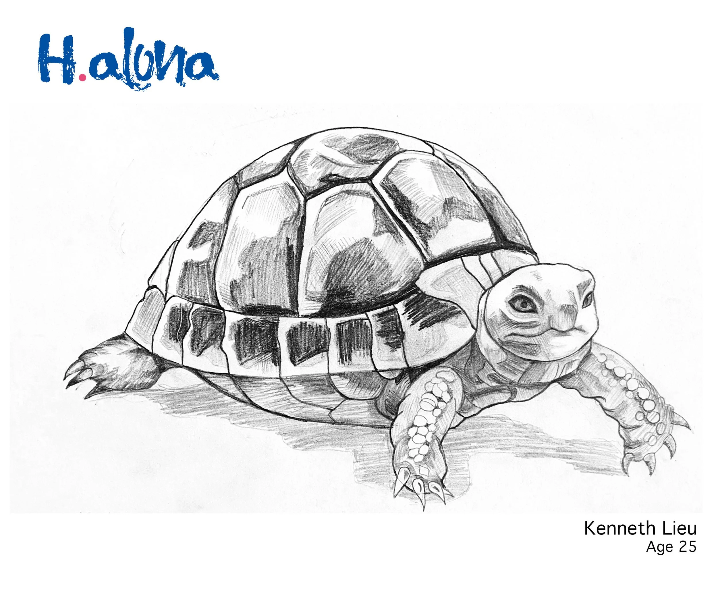 Kenneth Lieu Done (1).jpg