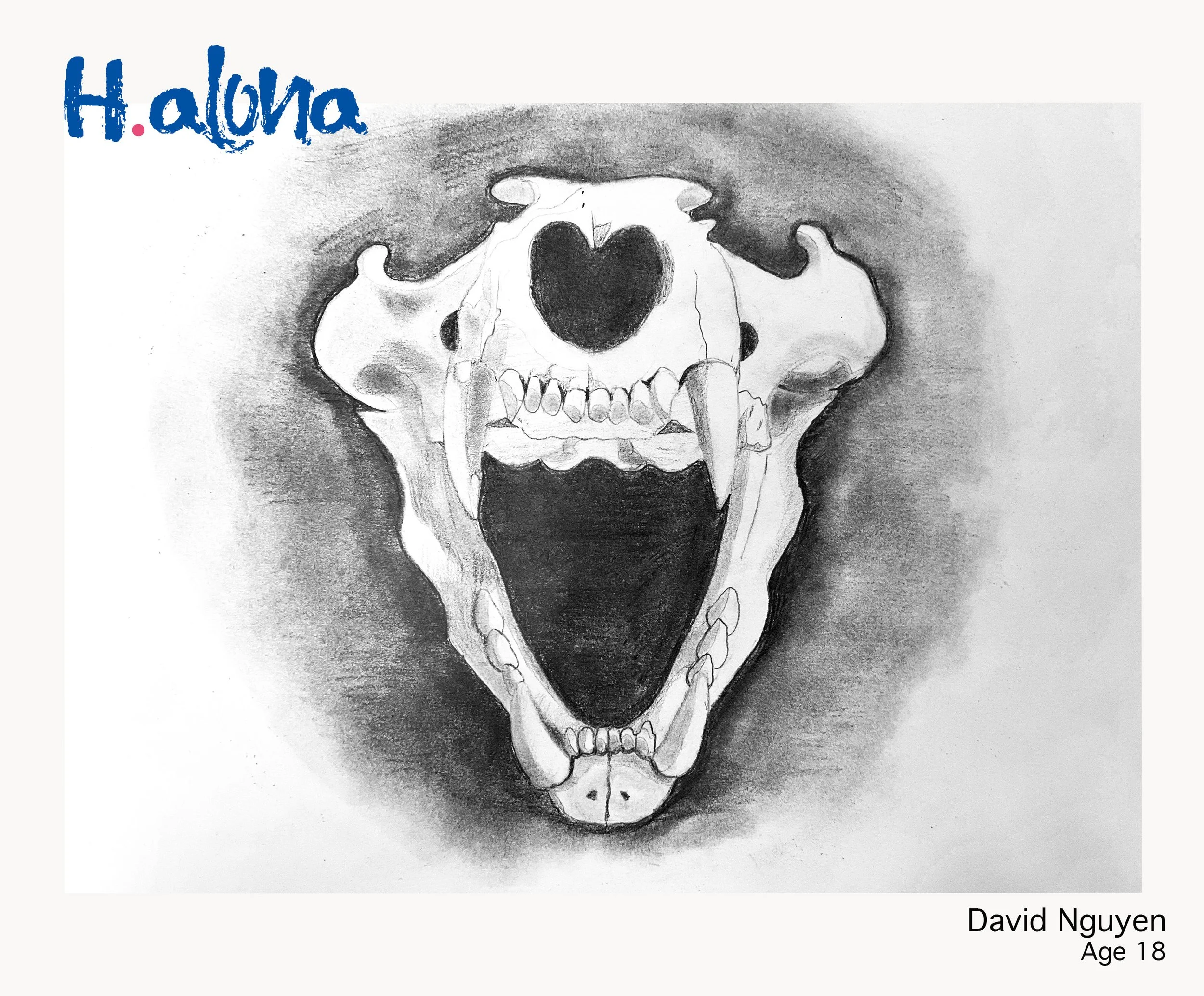 David Nguyen Done (1).jpg