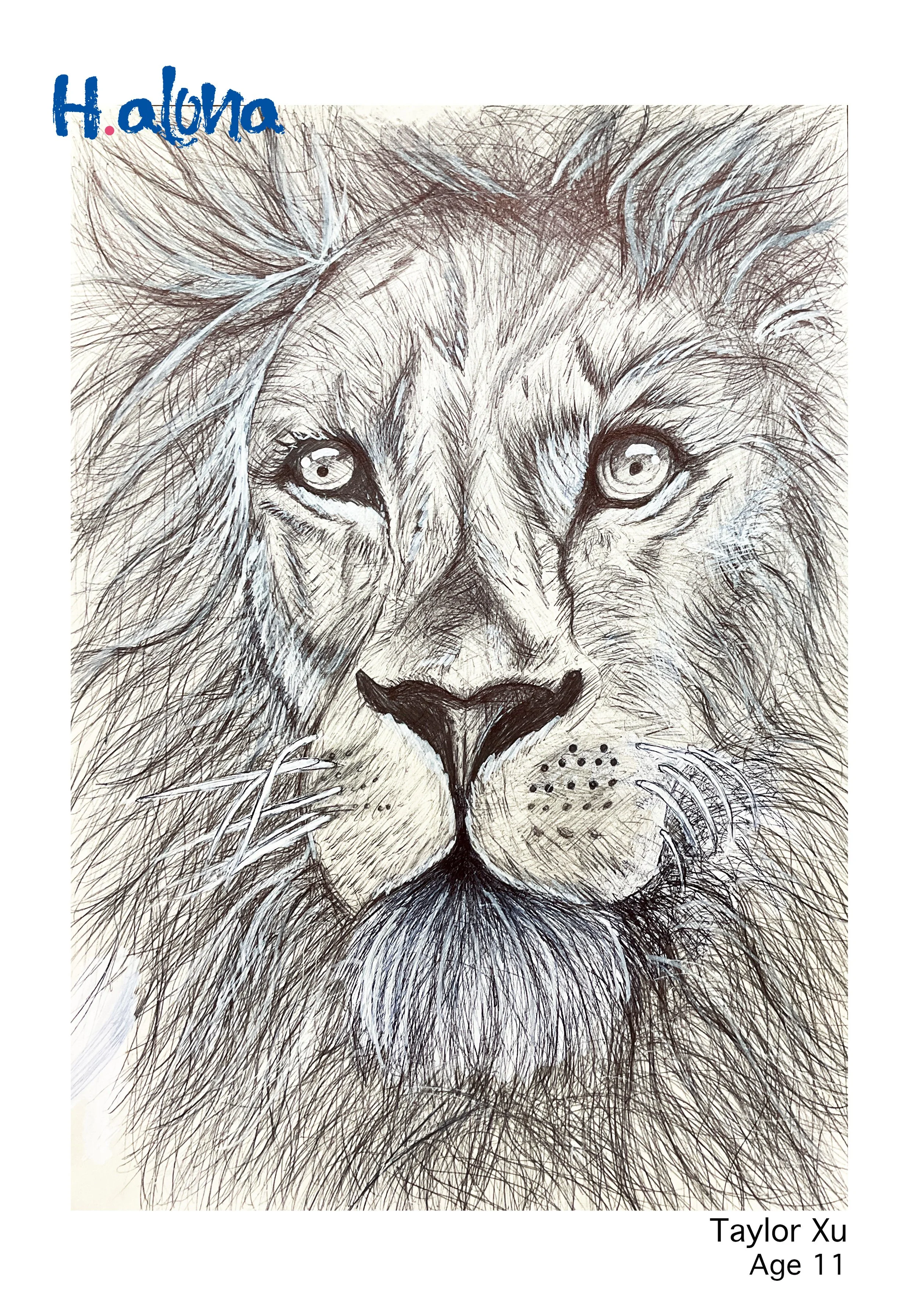 Taylor Xu Done (1).jpg