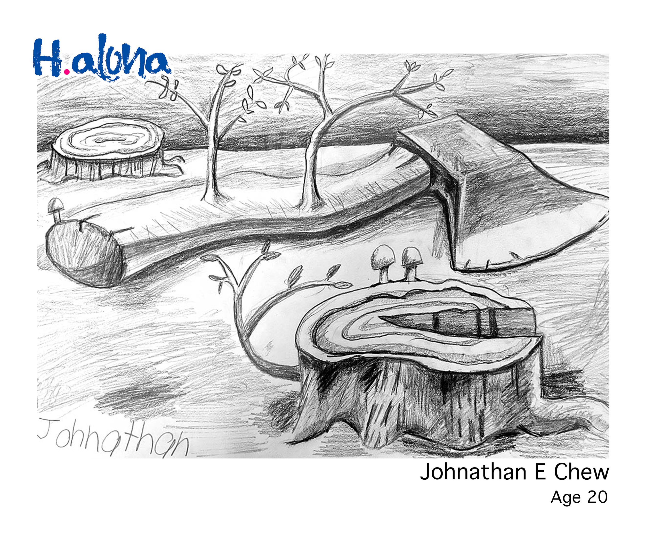 Johnathan E Chew.jpg