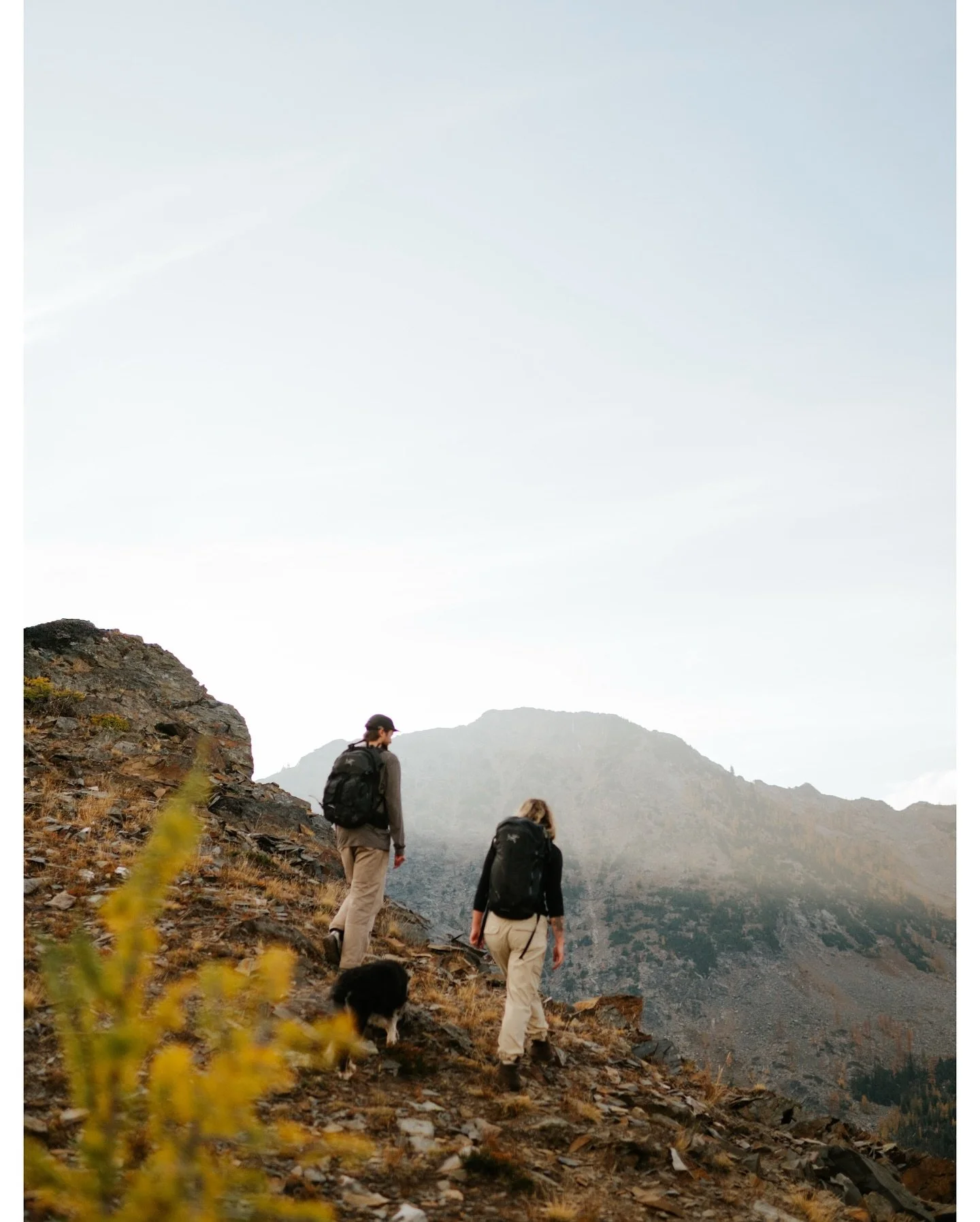 When everything falls perfectly into place, and a photoshoot just feels like art. 
I am so grateful for this evening, and was just itching to share more of this session. 🌙

@eddiepetryshen 
@baileyrepp