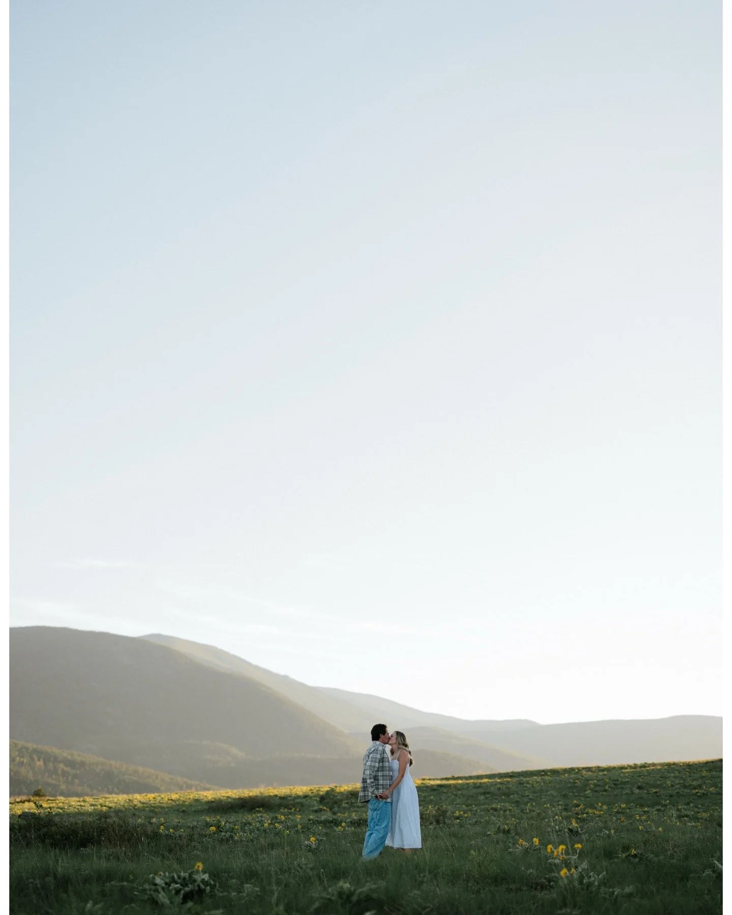 Wildflower season has begun. 🌻
