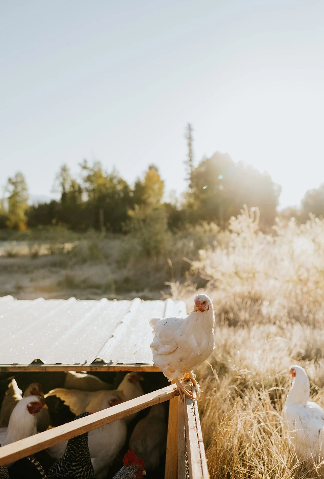 Farm Craft Co-Fall-19.jpg