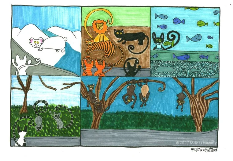 Zoo