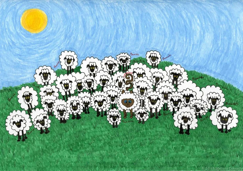 Wool