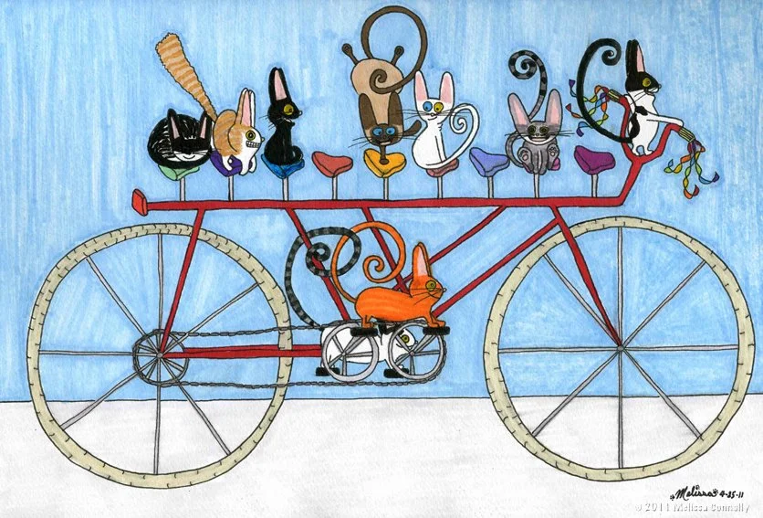 Bicycle