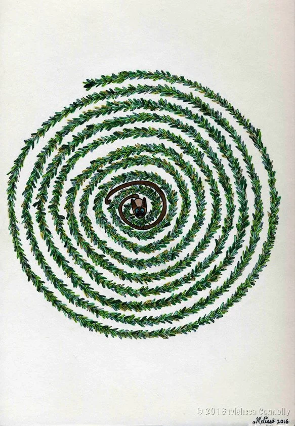 Spiral