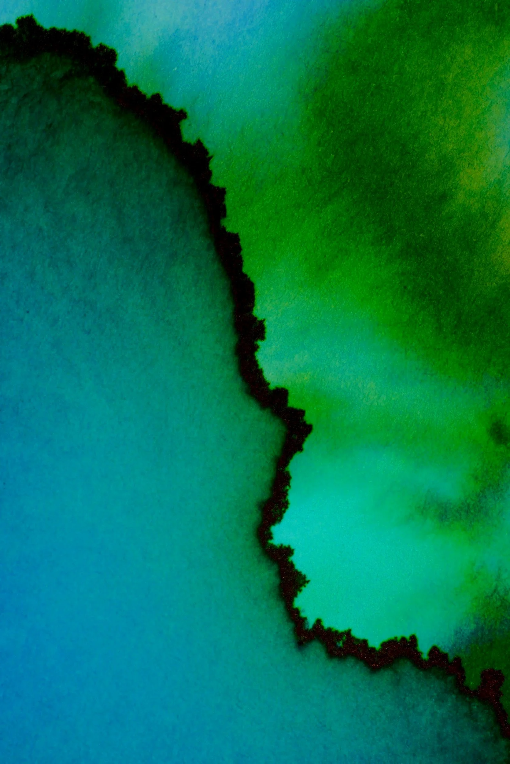 Vista en primer plano de una hoja con un borde negro y una línea de fractura, con un fondo difuso en tonos de verde y azul.