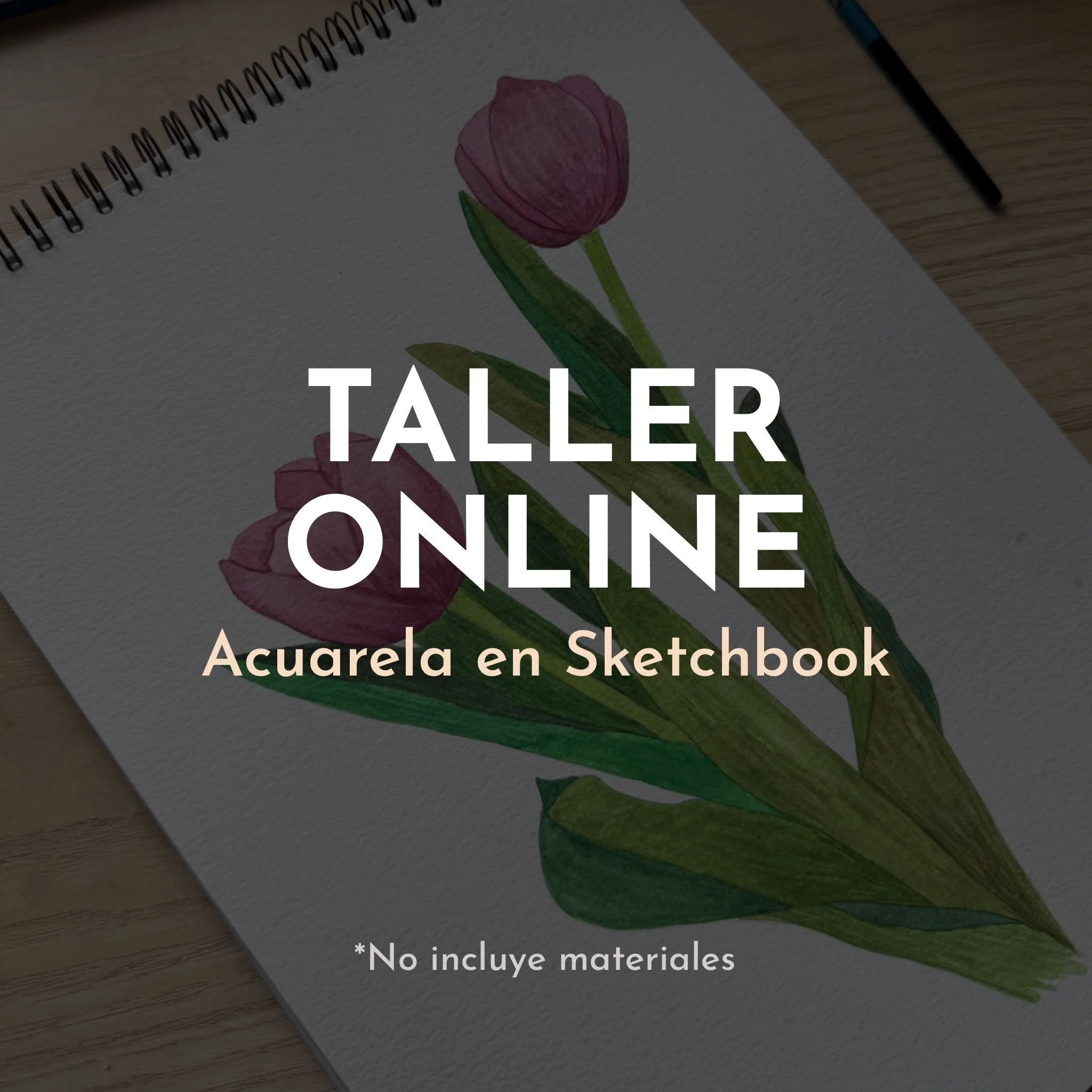 Ilustración_sin_título 167.jpg