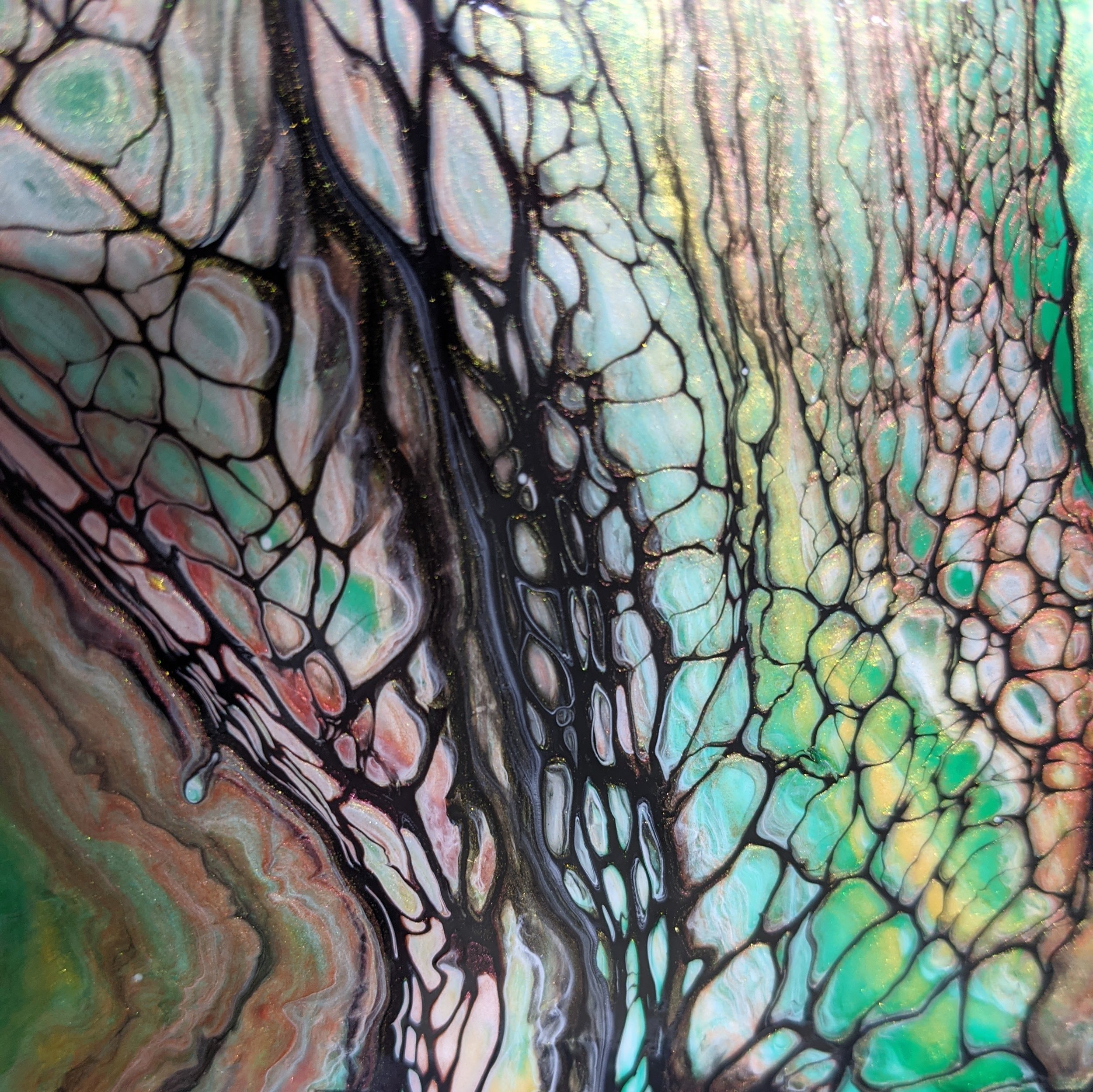 WA025-2 Emerald Web .jpg