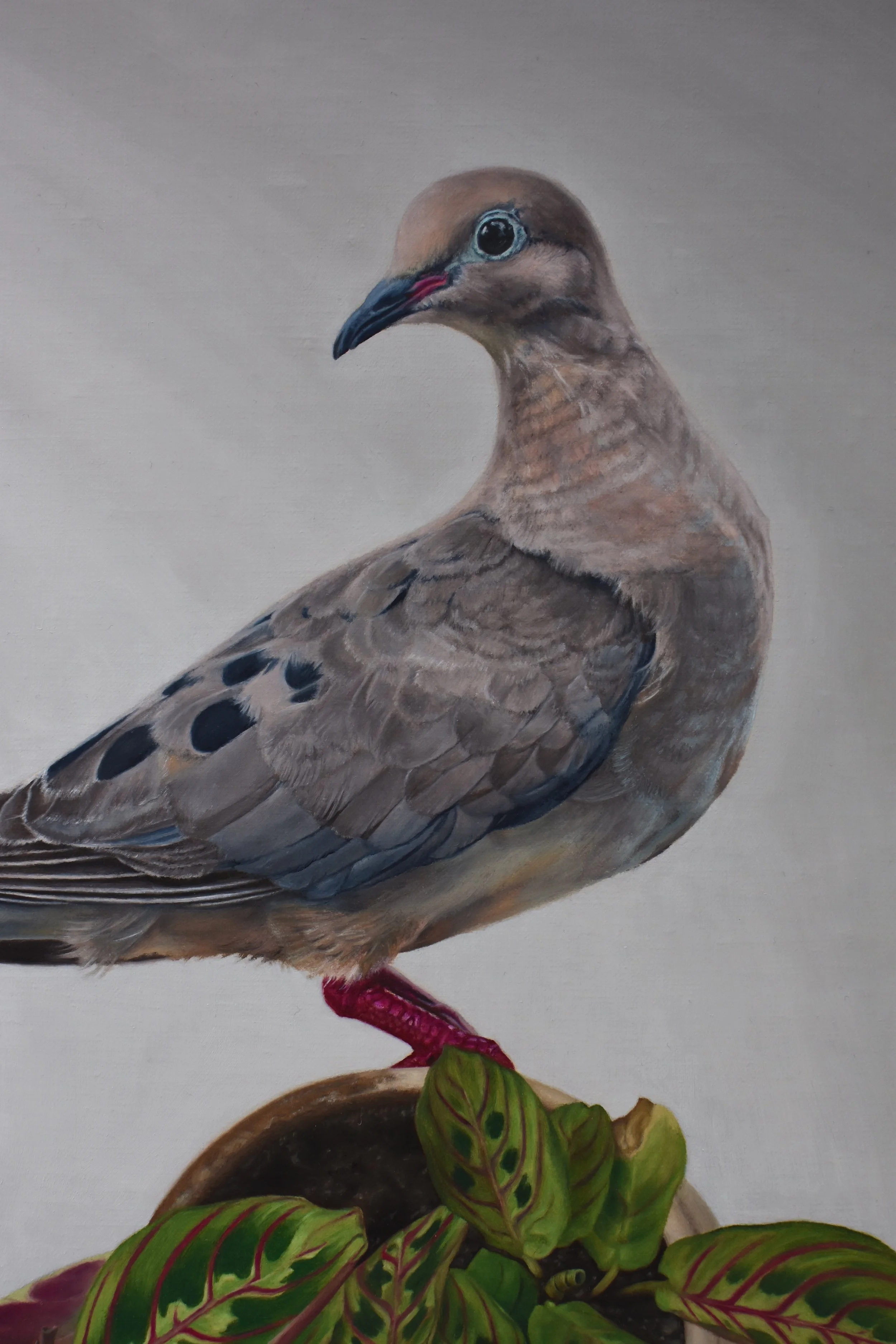 Almenara Prize - Online Exhibition