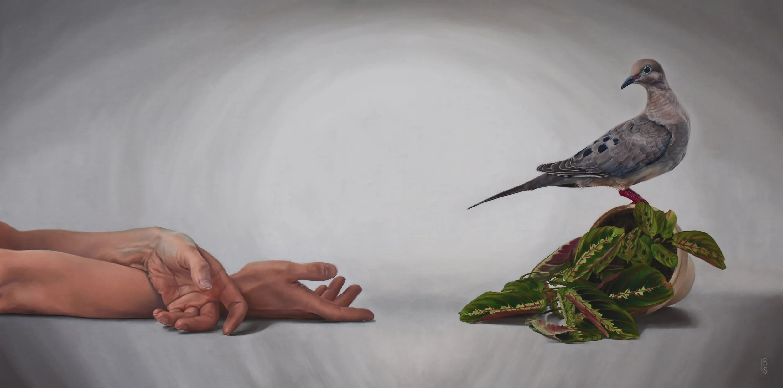 The Most We Can Offer / Oil on linen / 2026