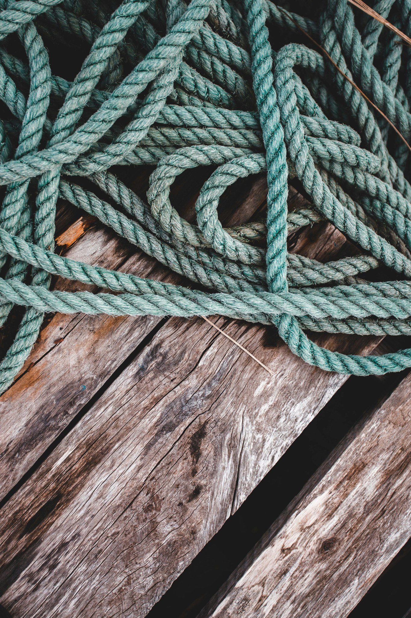 Our sailors develop not only maritime skills, but also qualities that serve them for life: self-reliance, responsibility, leadership, a sense of fair competition, and deep appreciation for our marine environment ... Learn more &amp; support our missi