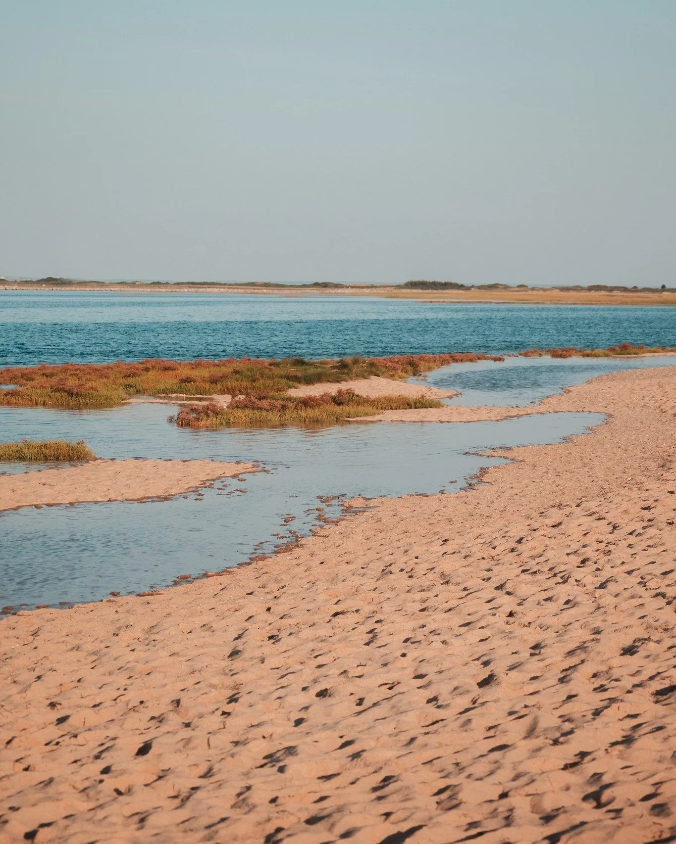 Okay winter, the joke's over! Who else is ready to dive into summer? ⛵ #WERCCS #Provincetown
