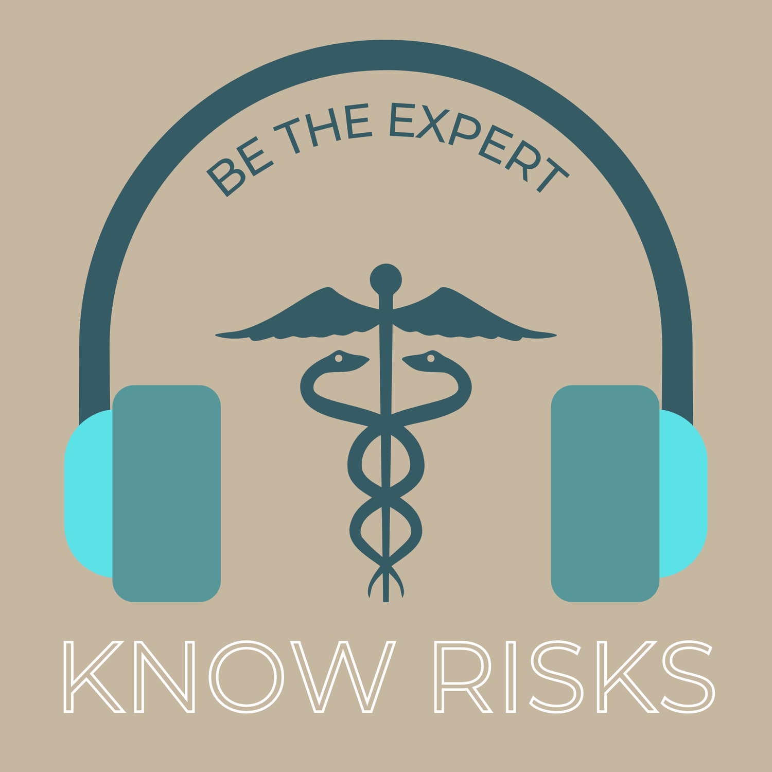 Know Risks podcast artwork