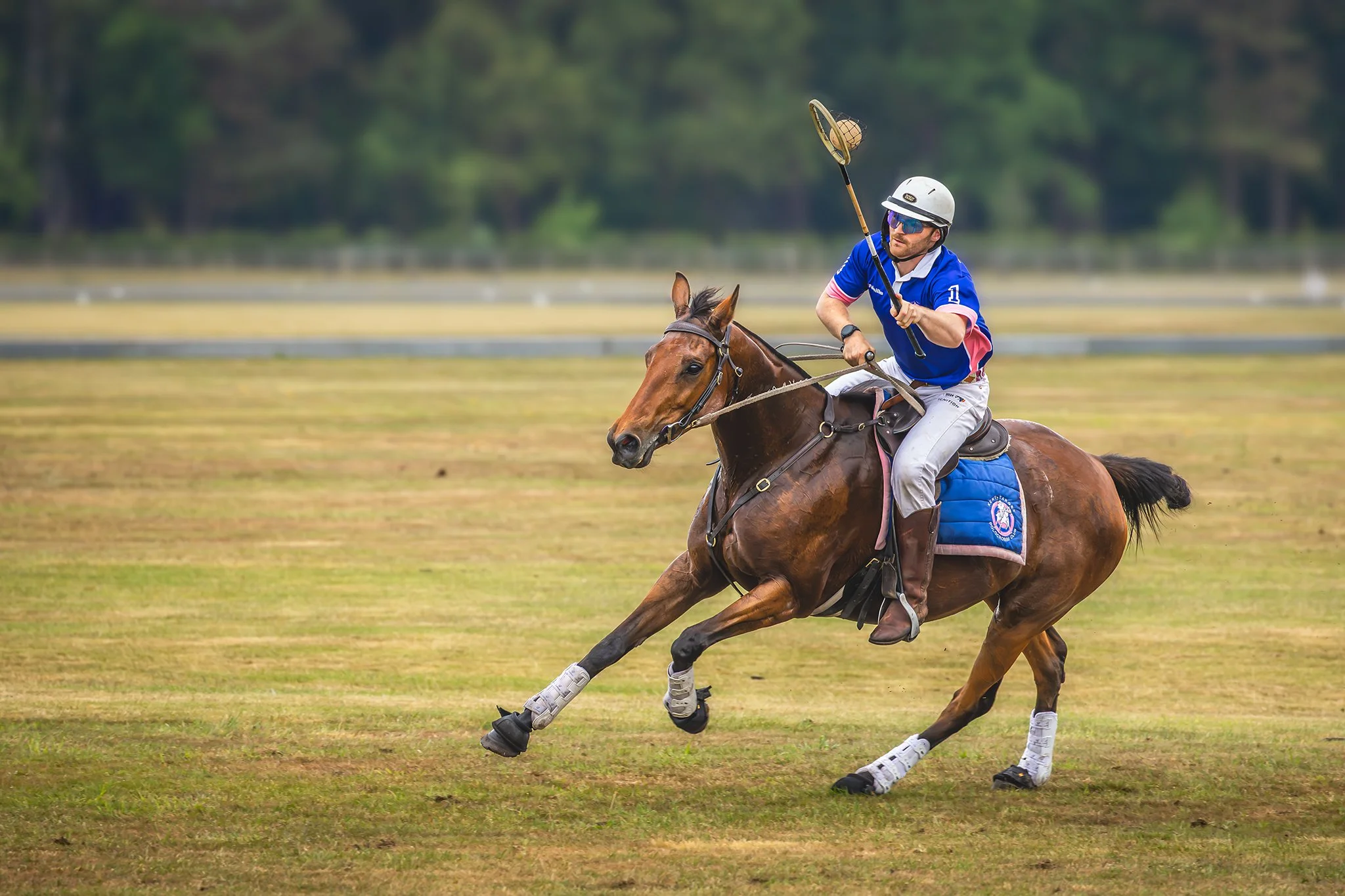 POLOCROSSE PRECISION.jpg