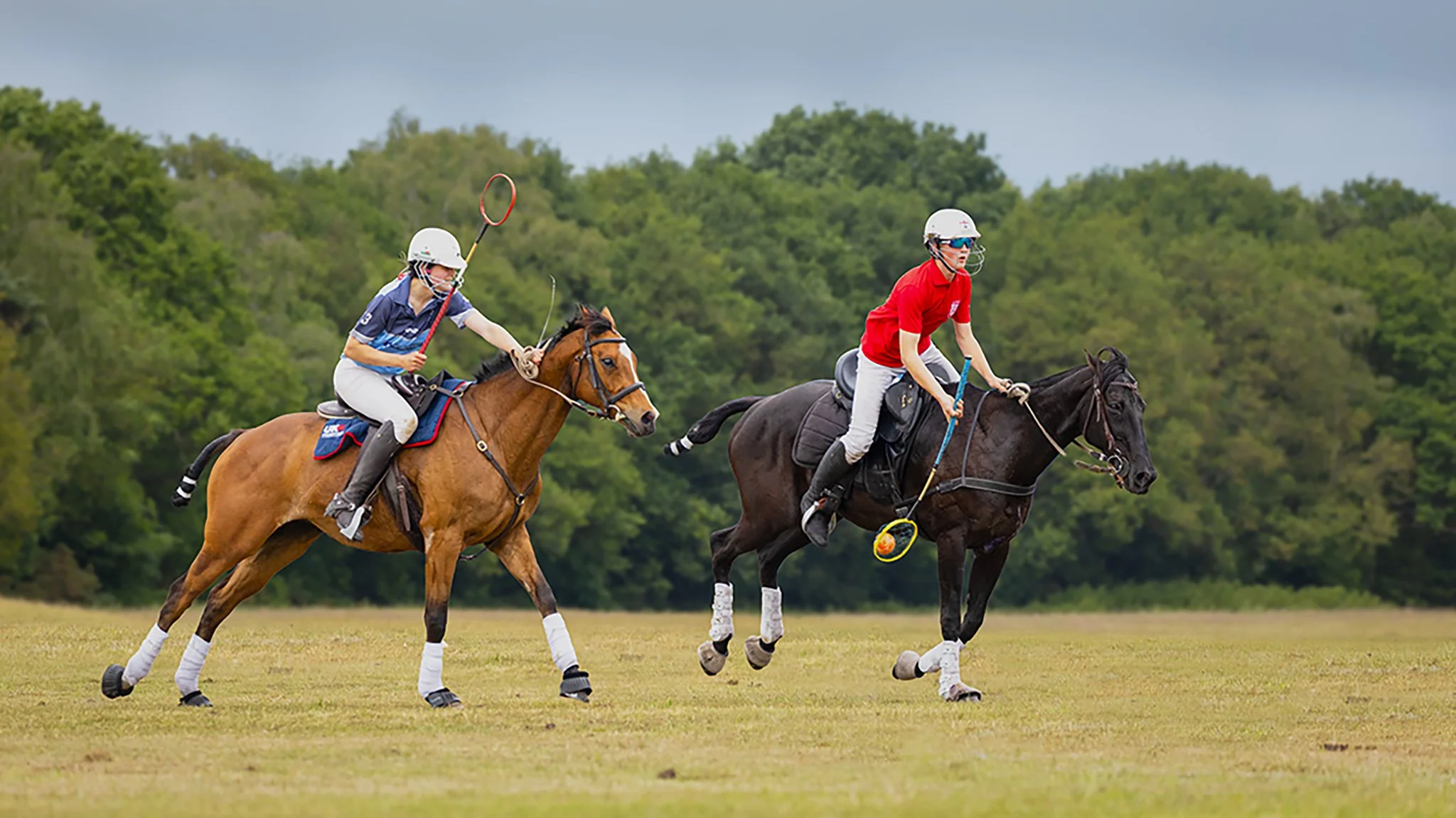 GALLOPING RIVALRY.jpg