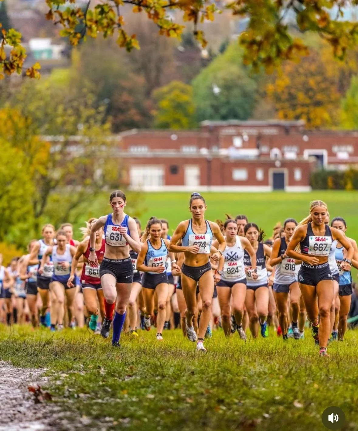 London Cross Country Championships