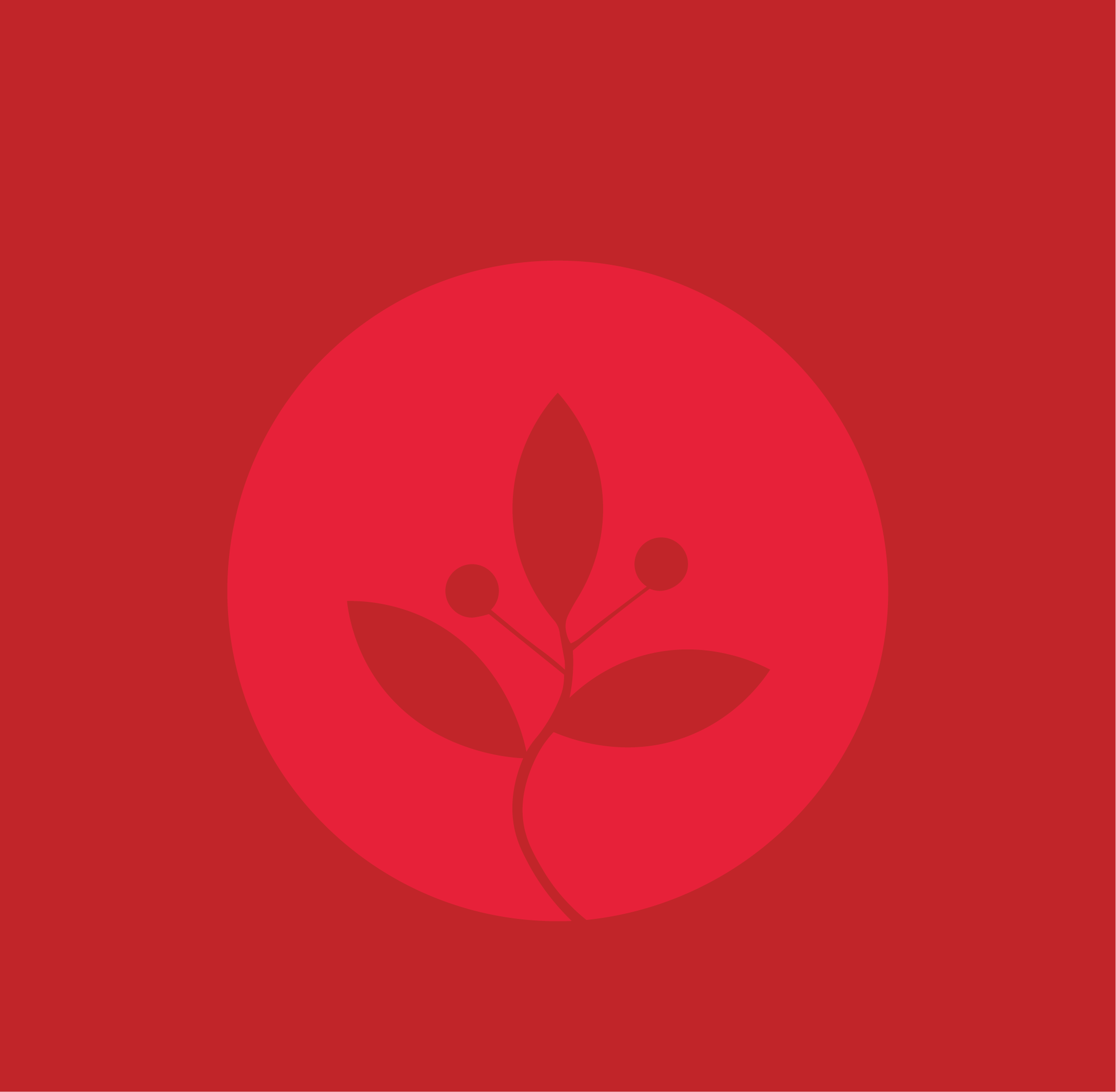 JUNIPER-08.png