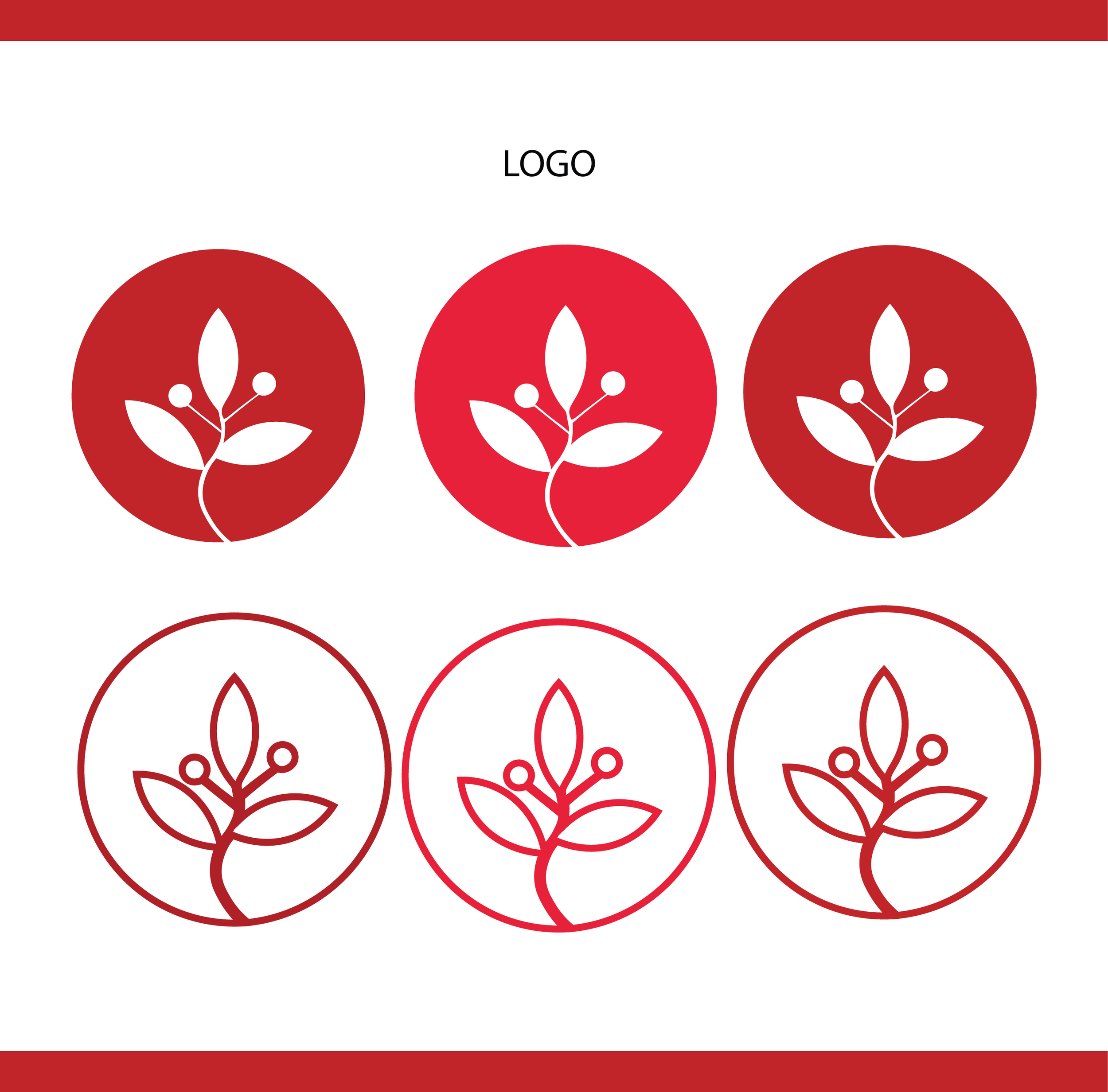 JUNIPER-03.png