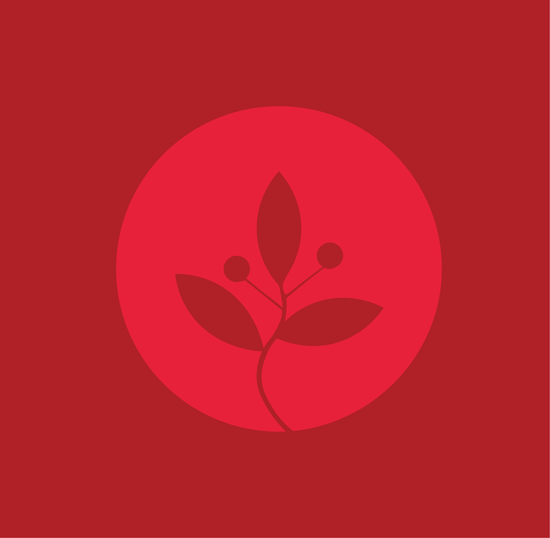 JUNIPER-04.png
