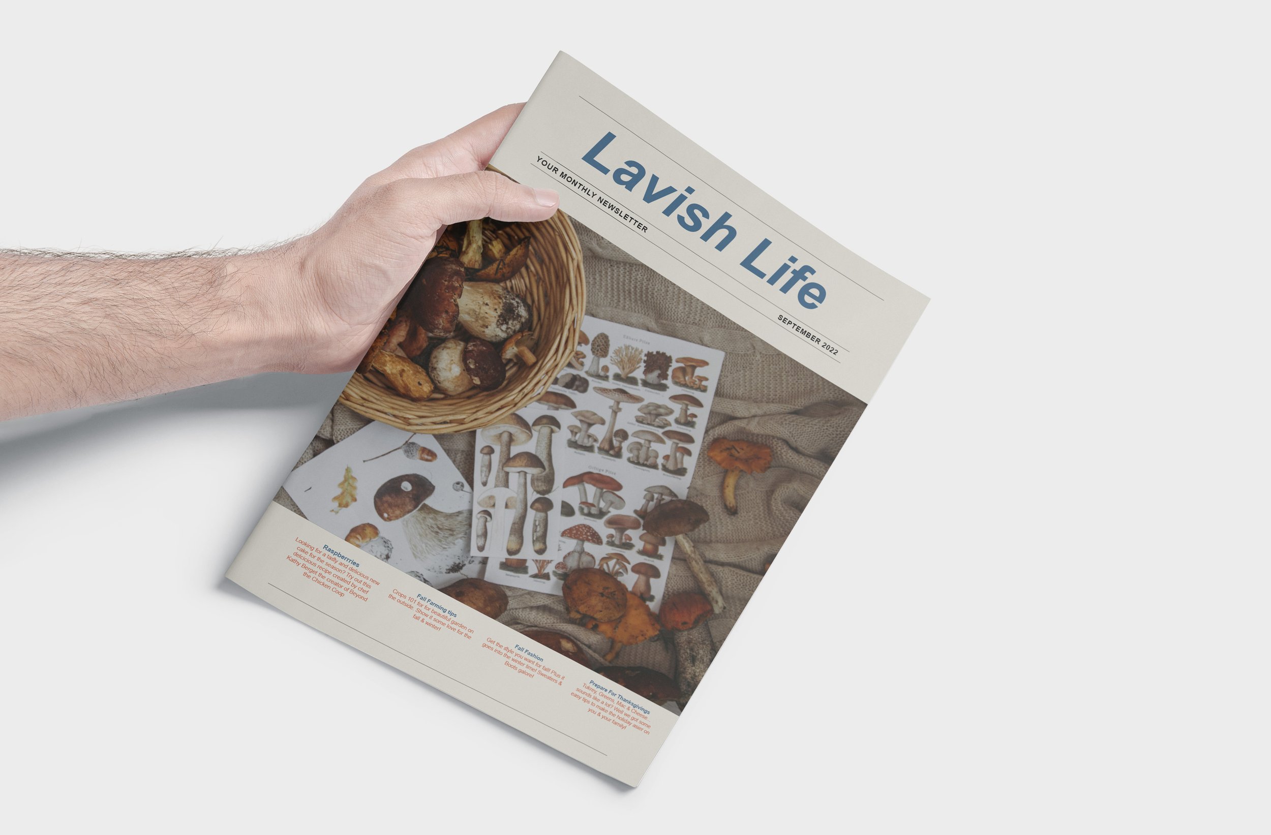 lavish life front page copy.jpg