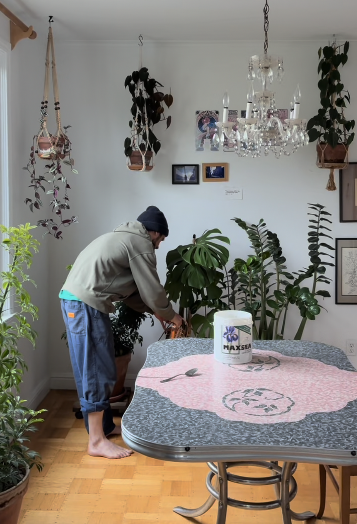 FEB 17, 2026 // HOW TO PROPERLY WATER YOUR HOUSEPLANTS