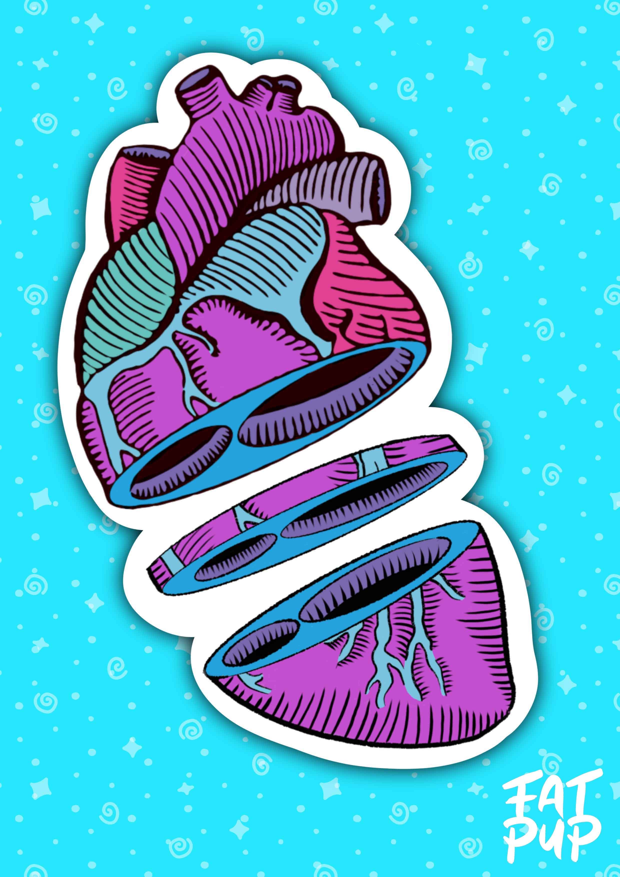 Dissected Heart