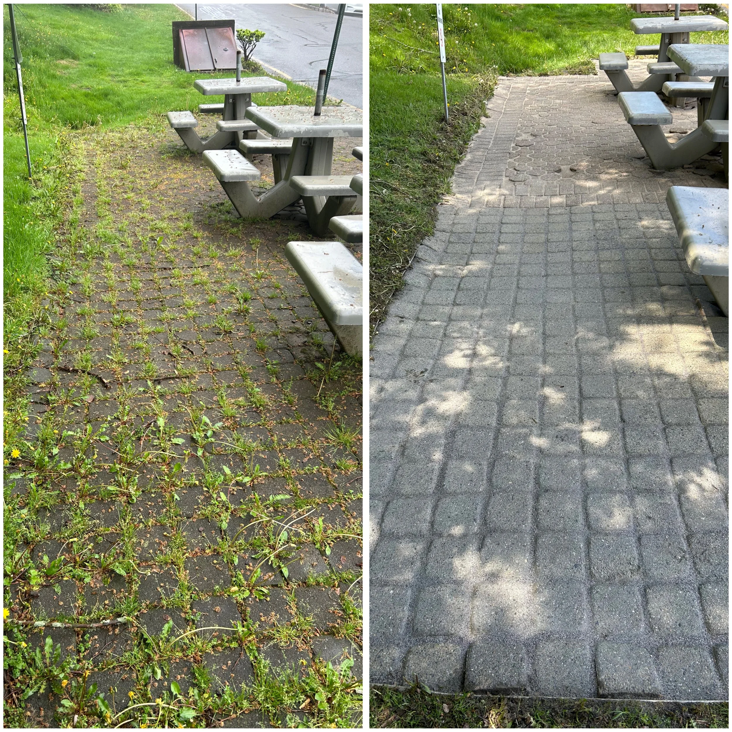 5408C00E-D87E-45B6-9ACB-31B49936C461 (1).jpeg