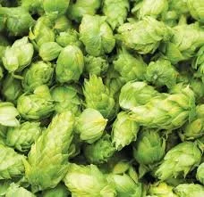 Thursday Beer Sessions: The Beers That Made Craft.