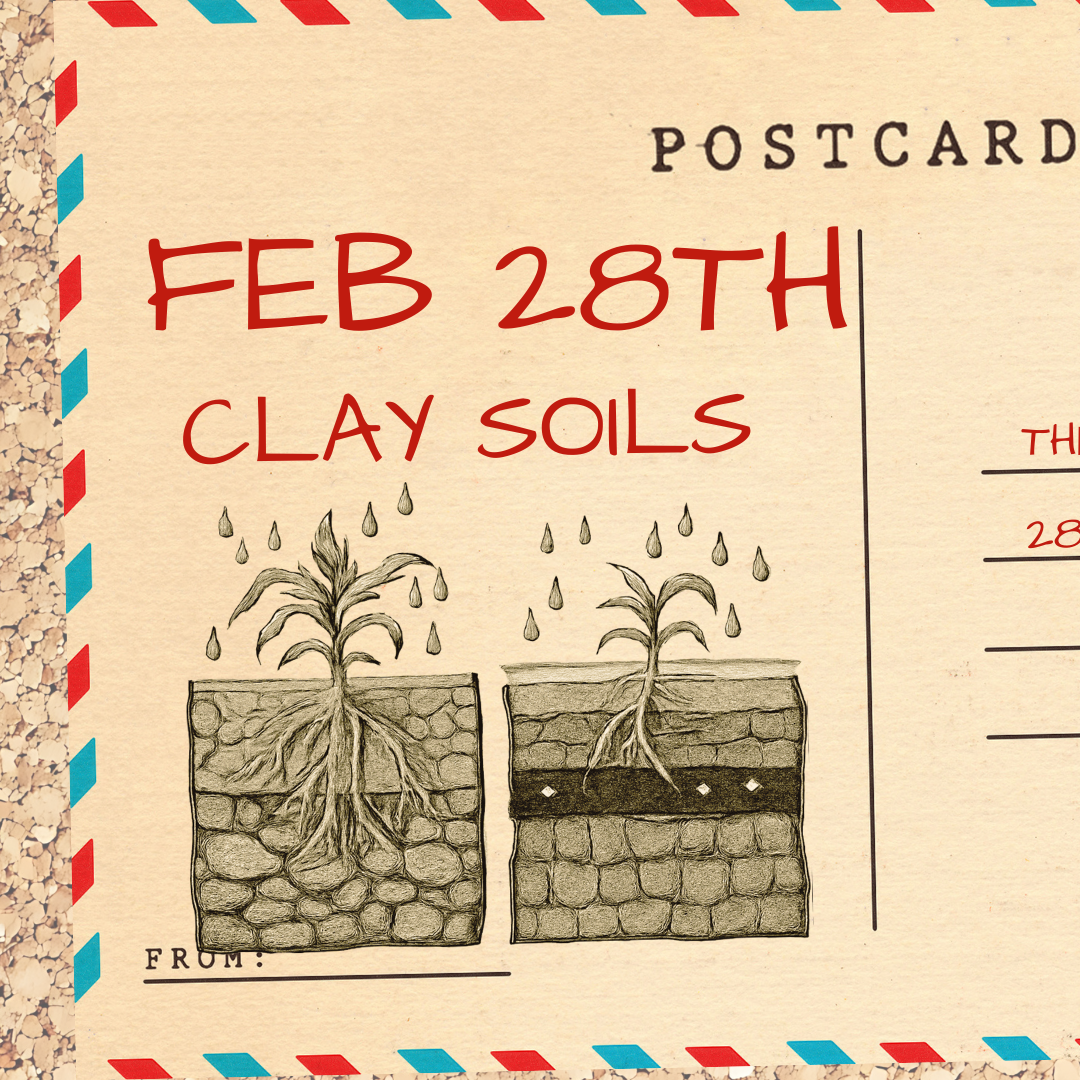 Wine Tasting: Soil Series - Clay Soils