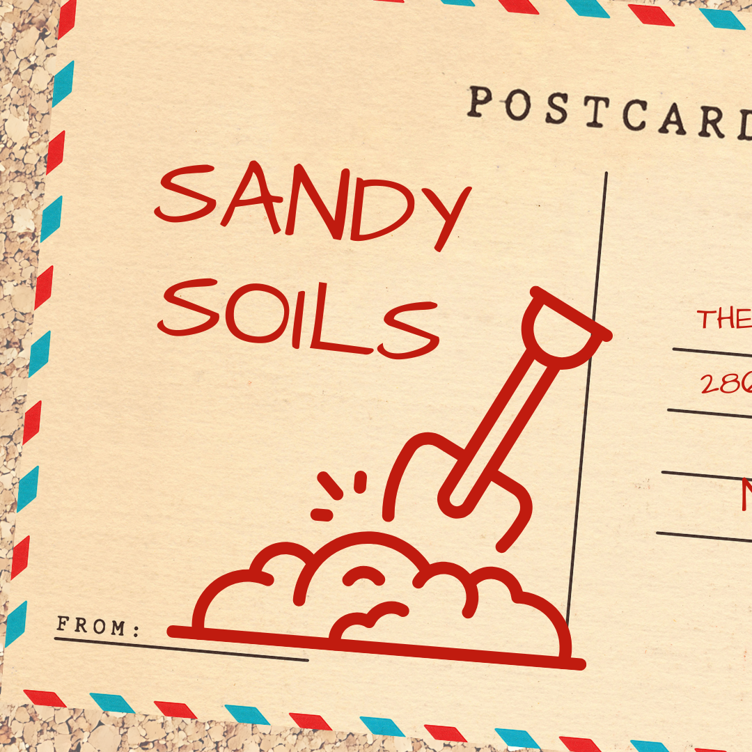 Free Wine Tasting: Soil Series - Sandy Soils.