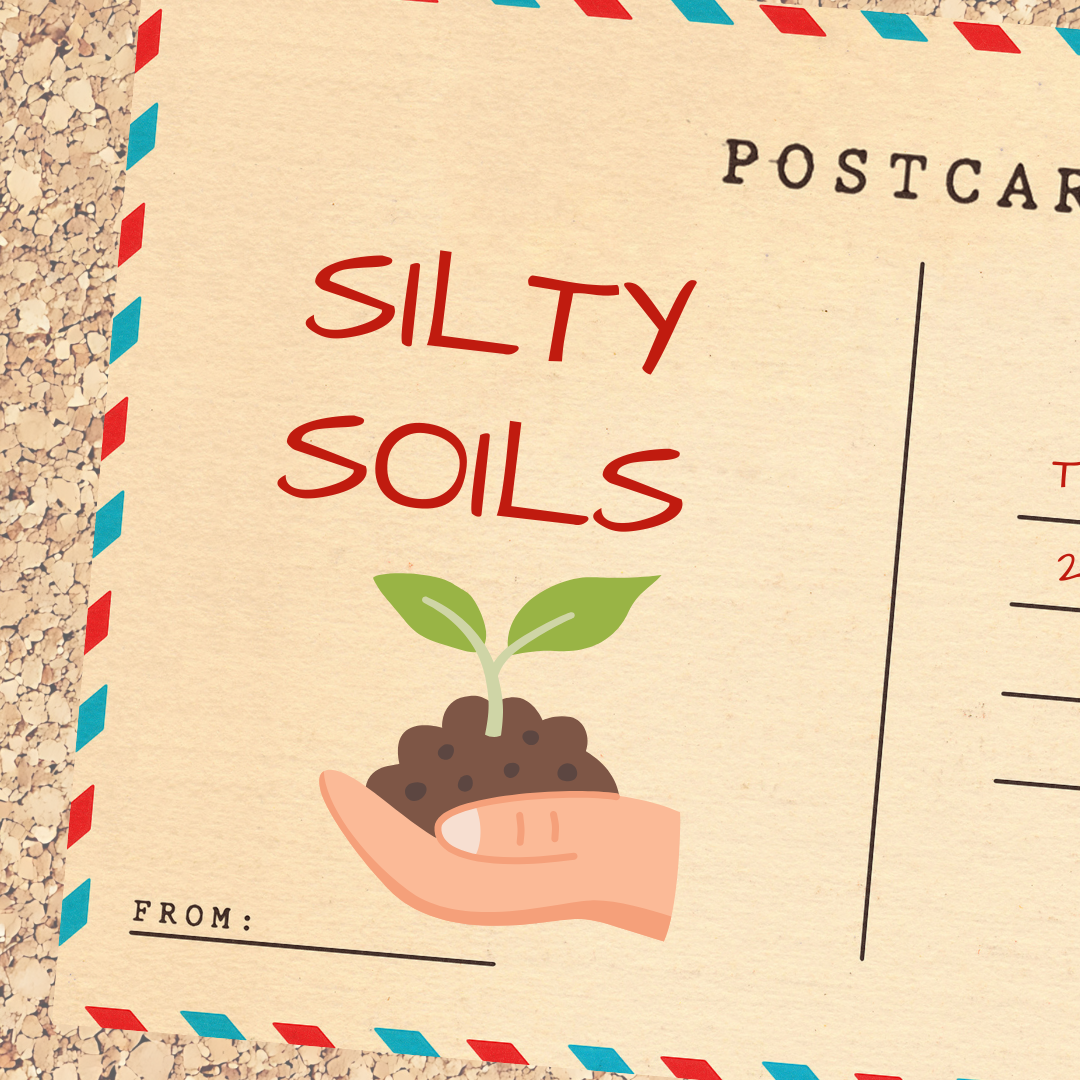 Free Wine Tasting: Soil Series - Silty Soils