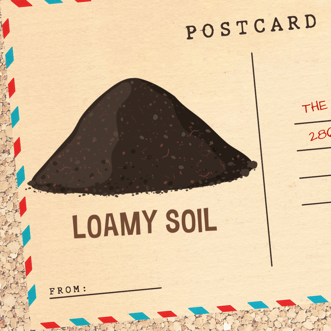 Free Wine Tasting: Soil Series - Loamy Soils