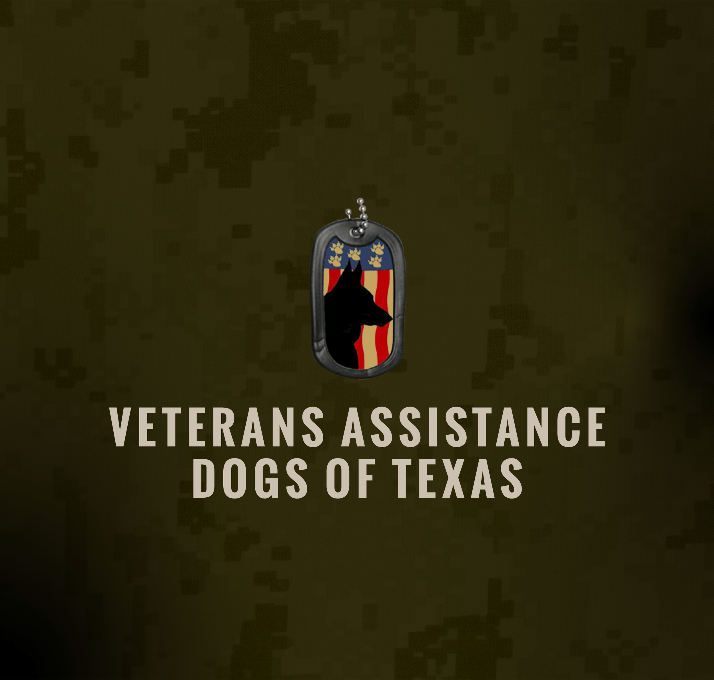 VA Dogs