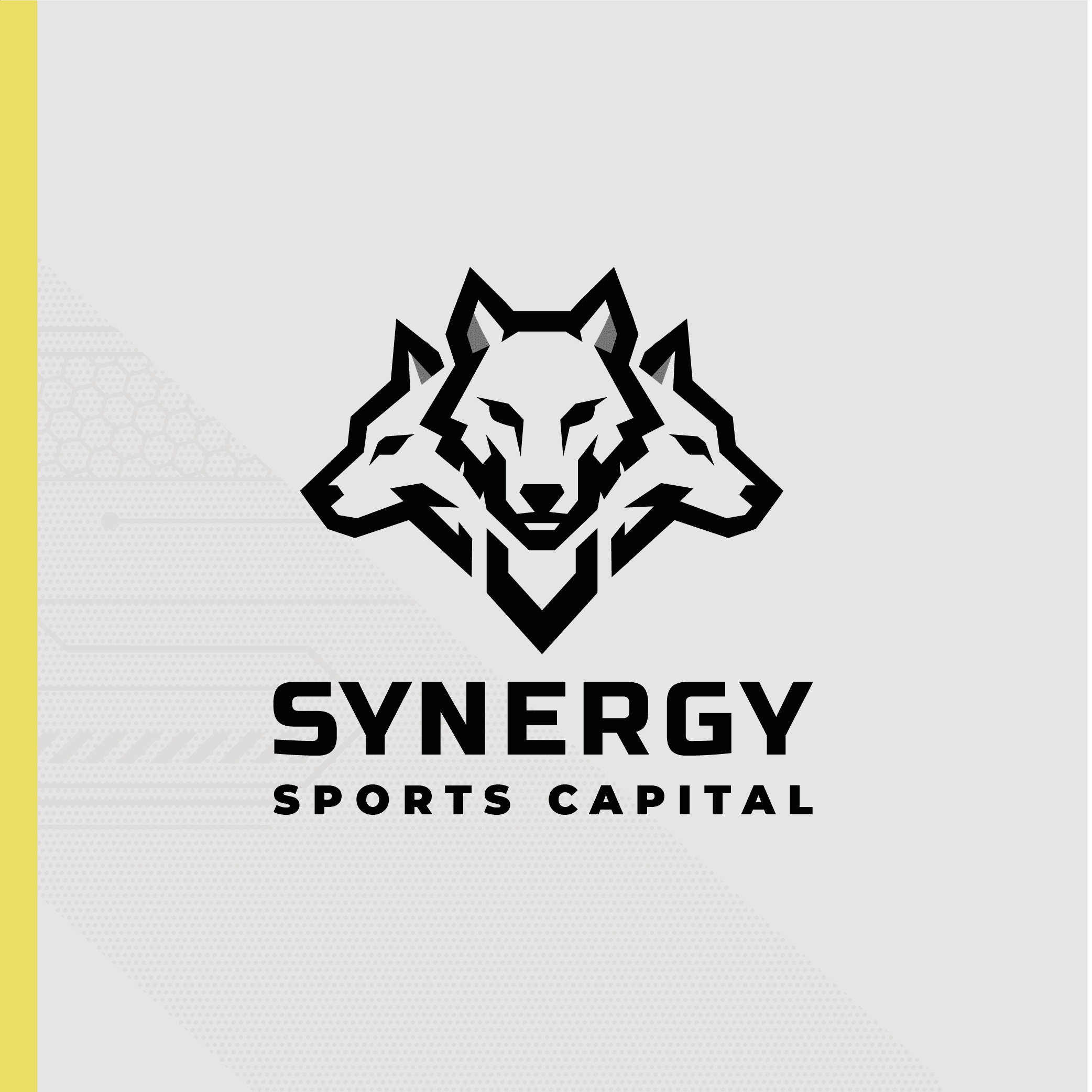 Synergy Sports Capital