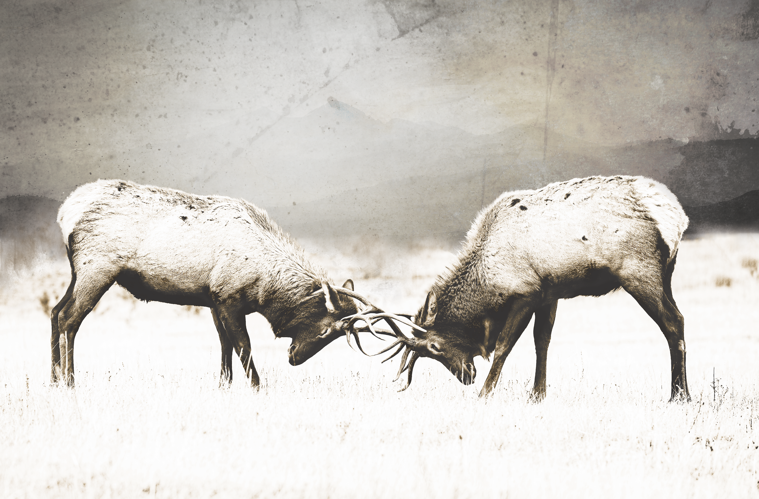 Screen Shot 2020-12-17 at 1.21.41 PM.png