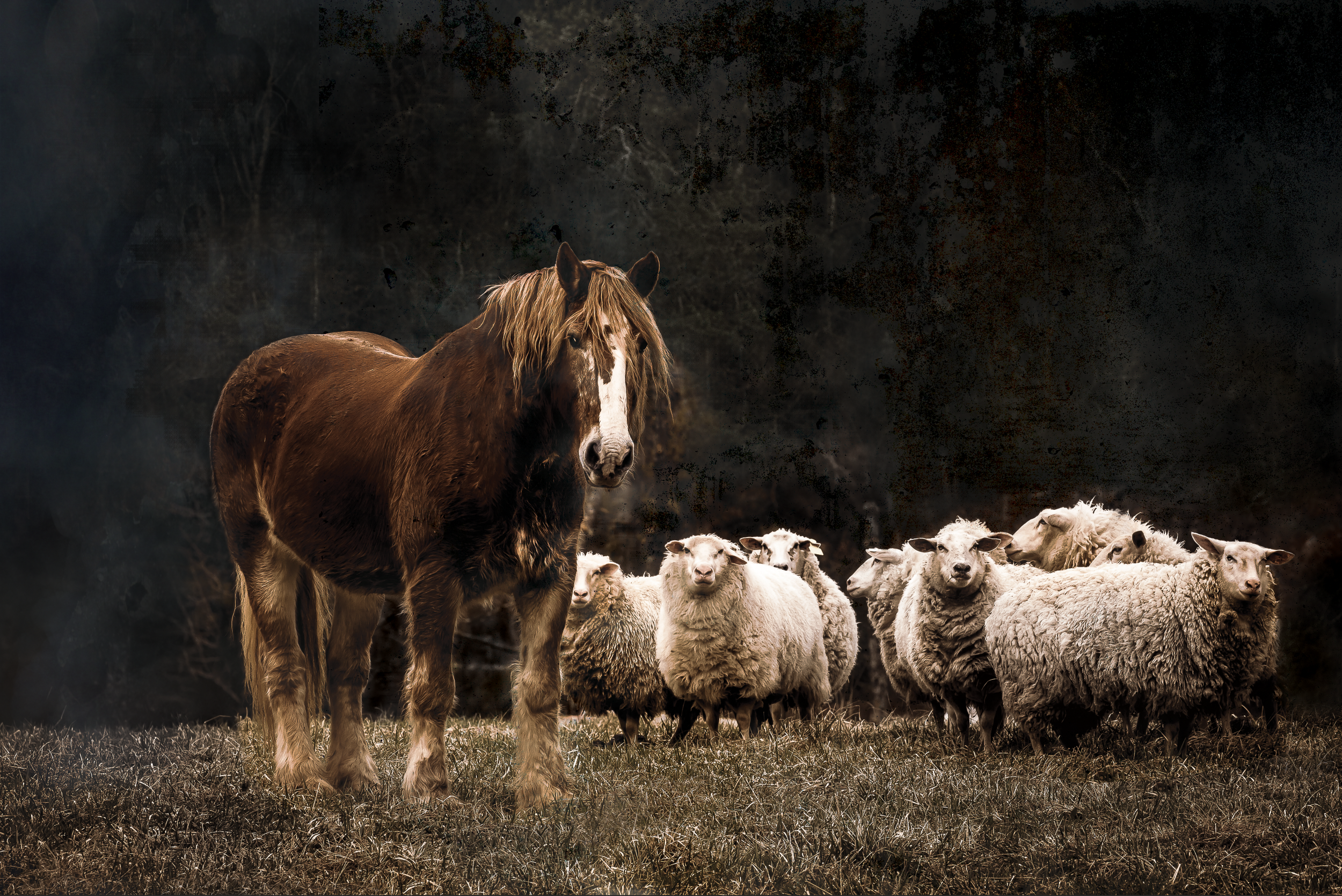 Screen Shot 2021-02-01 at 10.39.34 AM.png