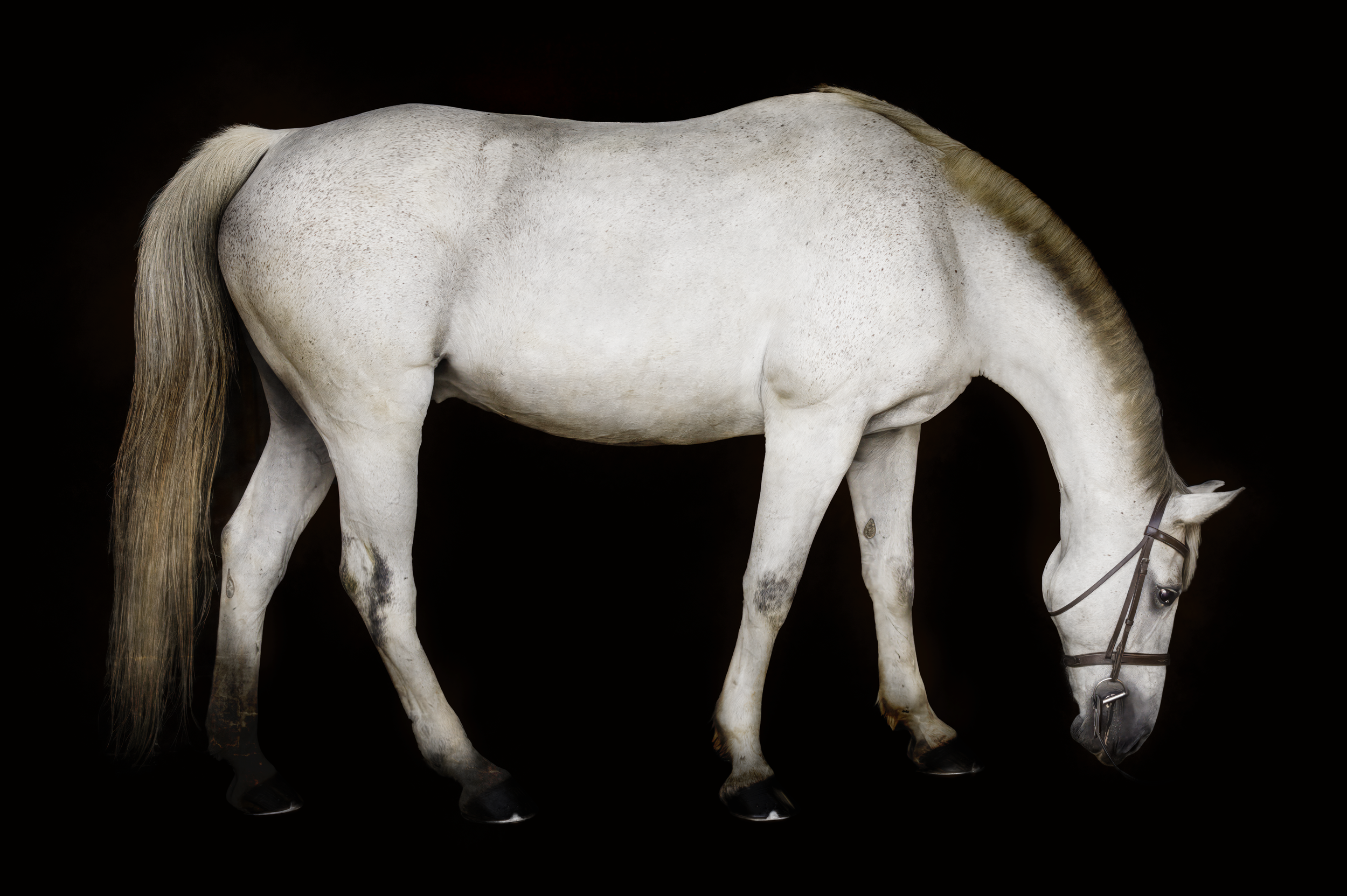 Screenshot 2025-09-04 at 2.46.12 PM.png