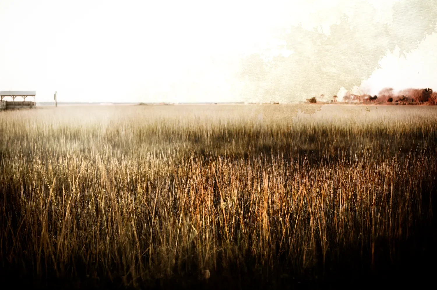 Atmospheric coastal marsh landscape by Brandon Luther, rendered in warm layered tones.