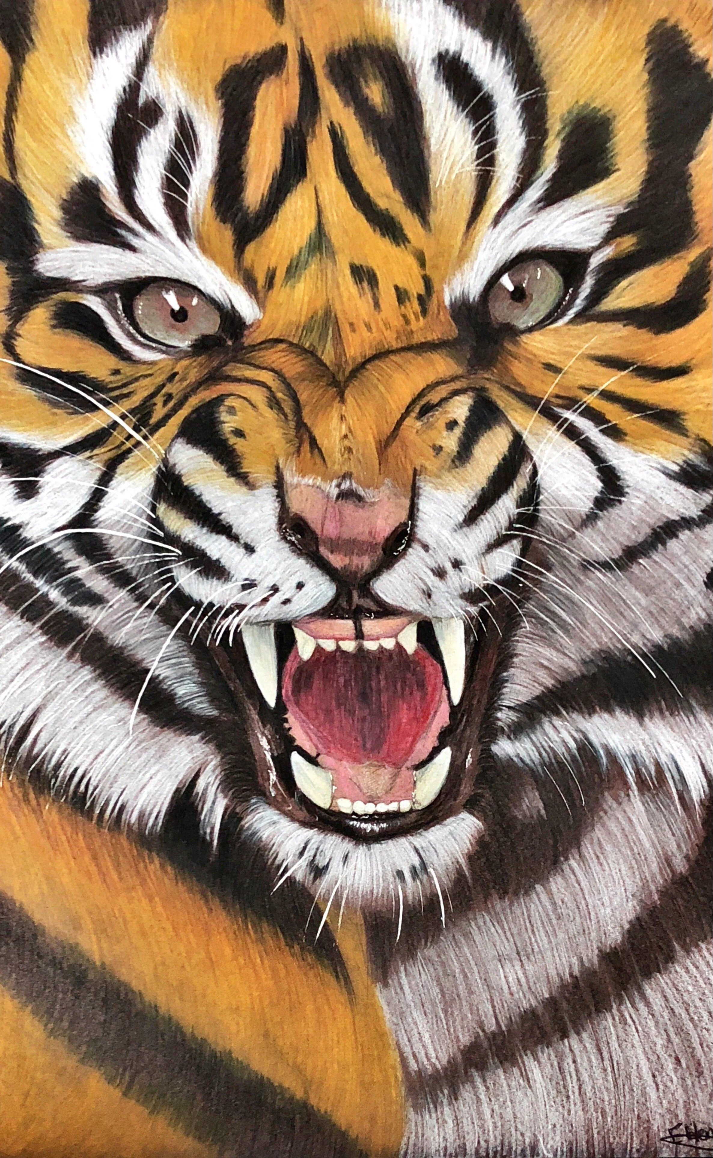 Vicious - June 4, 2018
~ Size: 12x20
~ Medium: Coloured Pencil