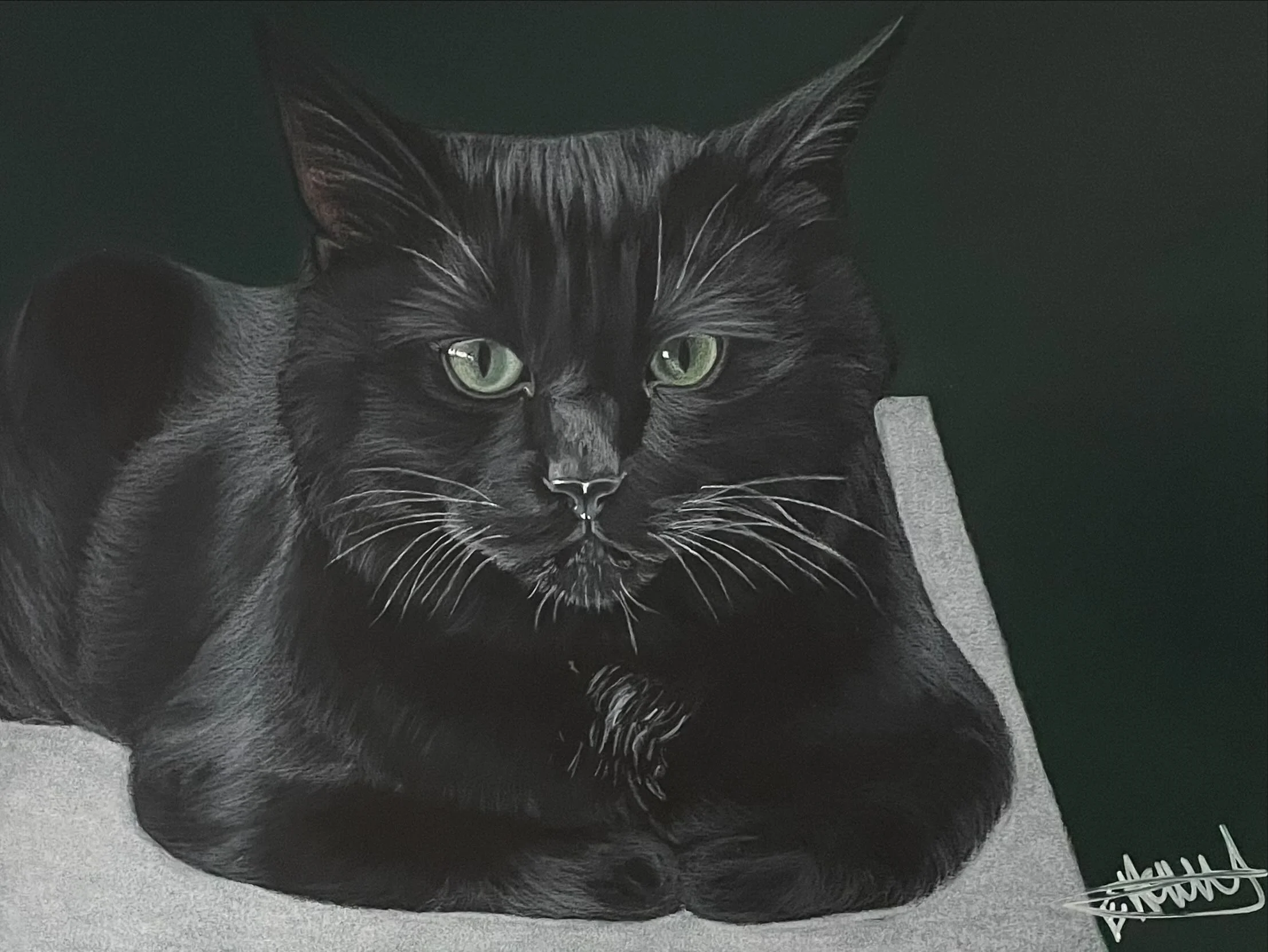 Meatball - February 11, 2024
~ Size: 9x12
~ Medium: Coloured Pencil