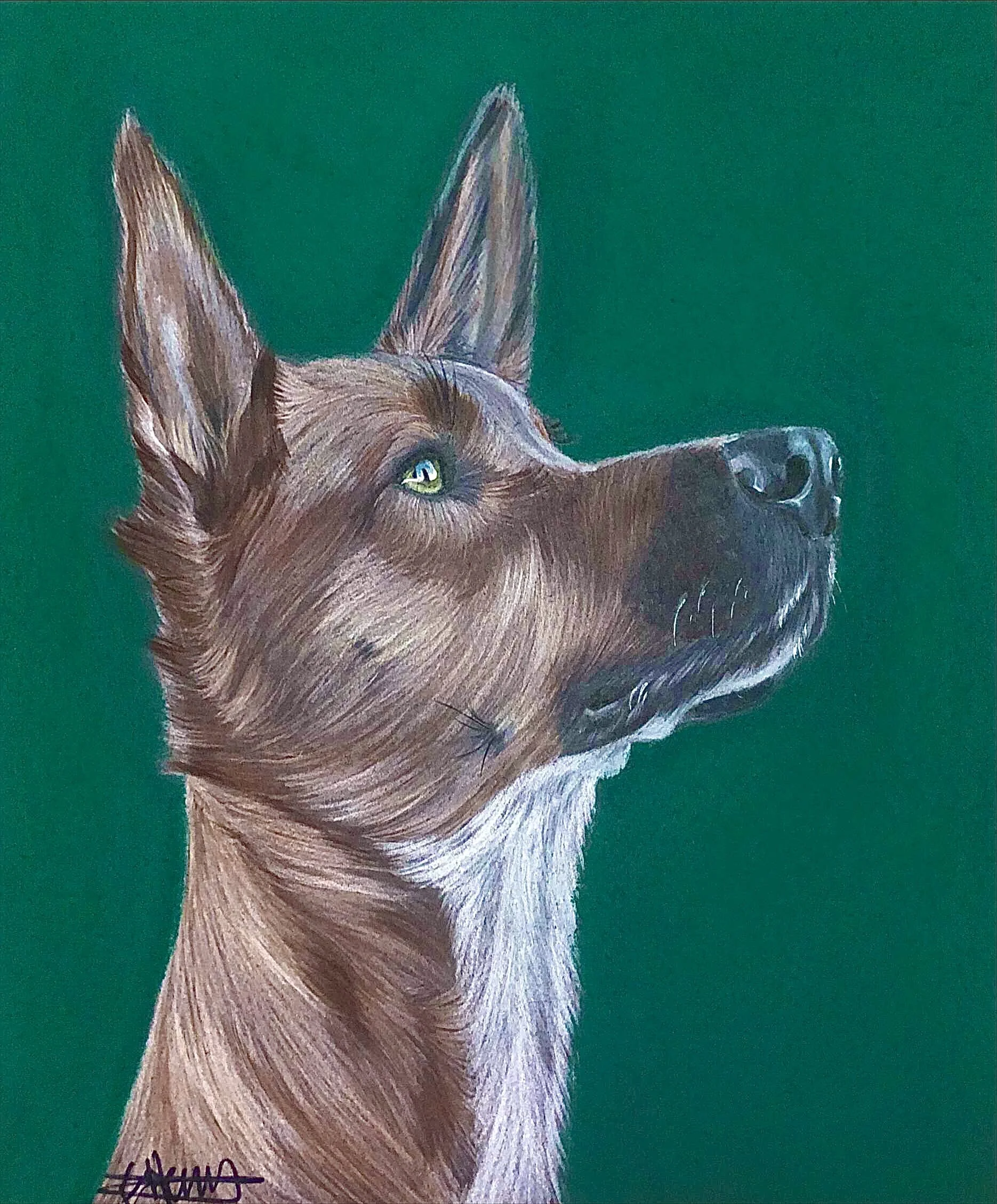 Walter - November 21, 2021
~ Size: 16x20
~ Medium: Coloured Pencil and Chalk Pastel