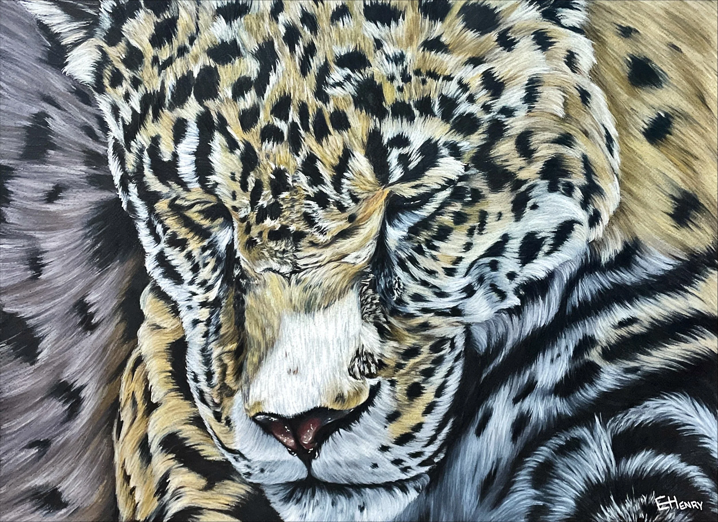 Dozing - $3100