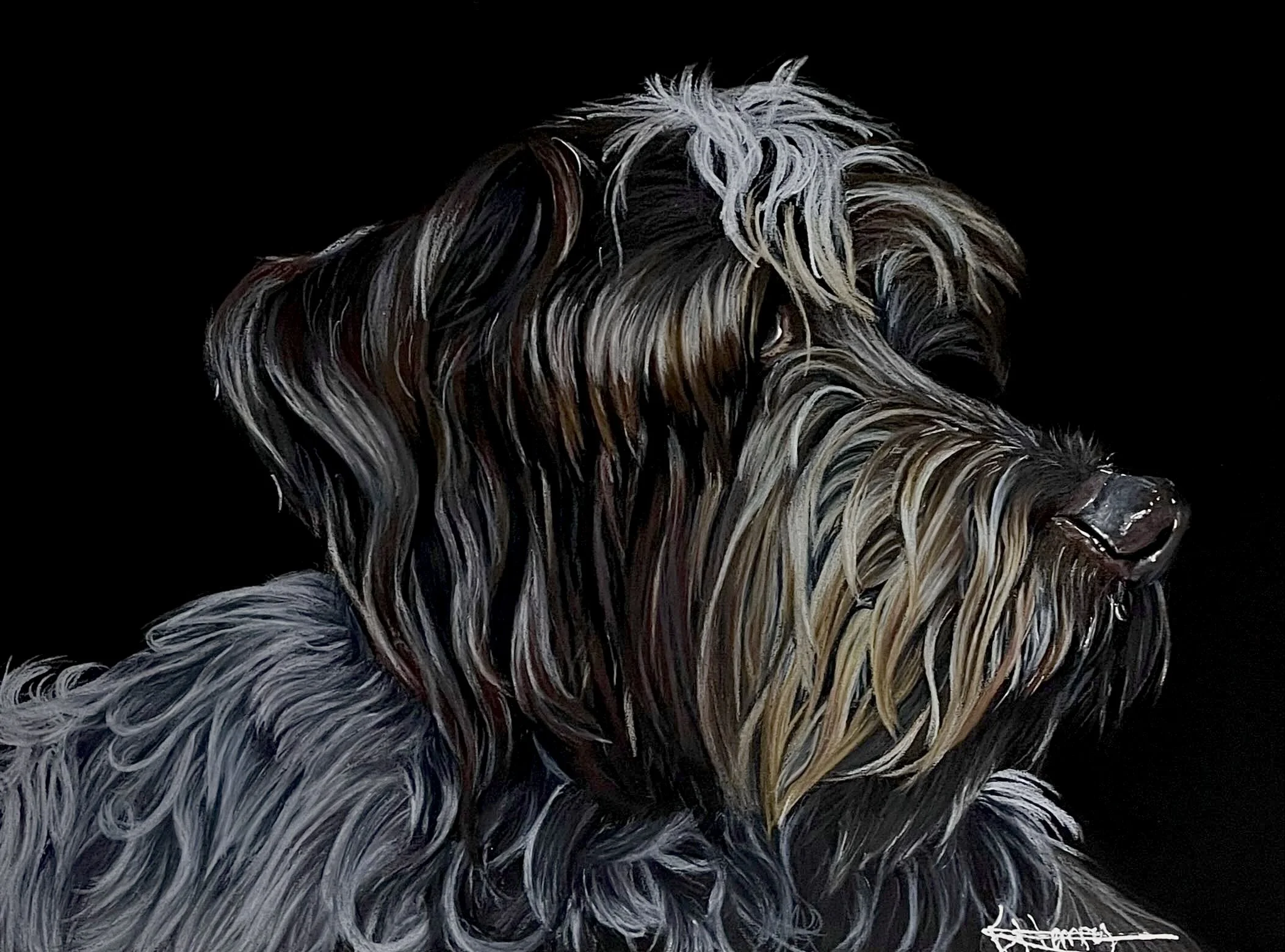 Wasko - February 13, 2025
~ Size: 9x12
~ Medium: Coloured Pencil and Chalk Pastel